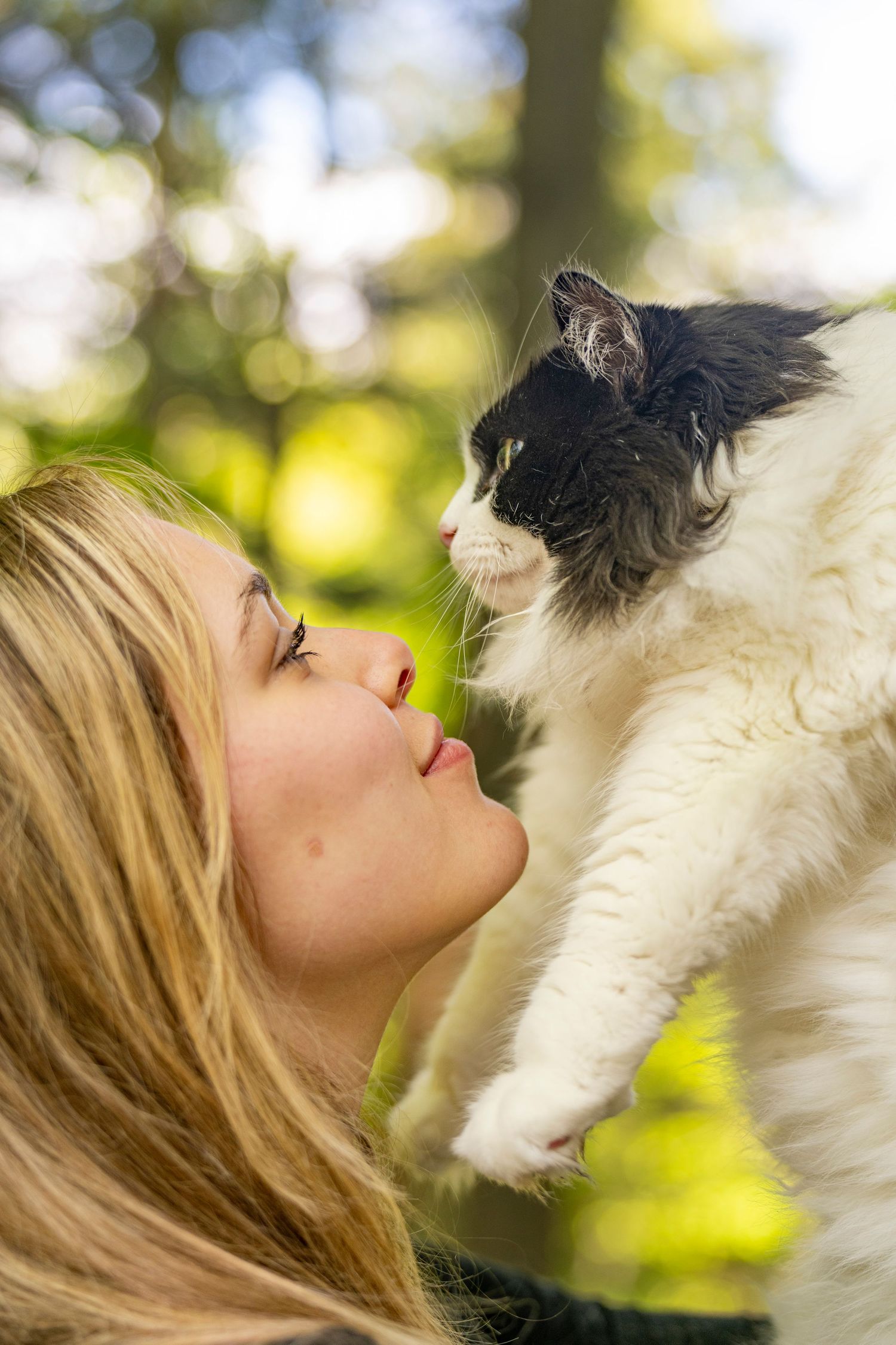 photographe animaux de compagnie