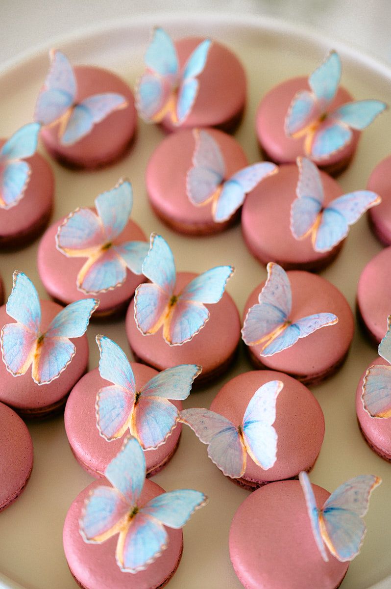 Elegant pink macarons decorated with blue butterflies, perfect for Riga wedding dessert table