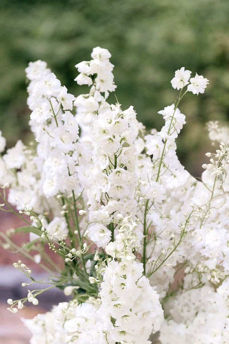 Elegant floral decorations enhancing wedding ceremony ambiance, ideal for Riga outdoor weddings