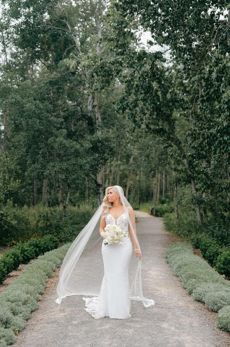 Elegant bride posing among lush greenery, Riga wedding portrait with natural outdoor styling