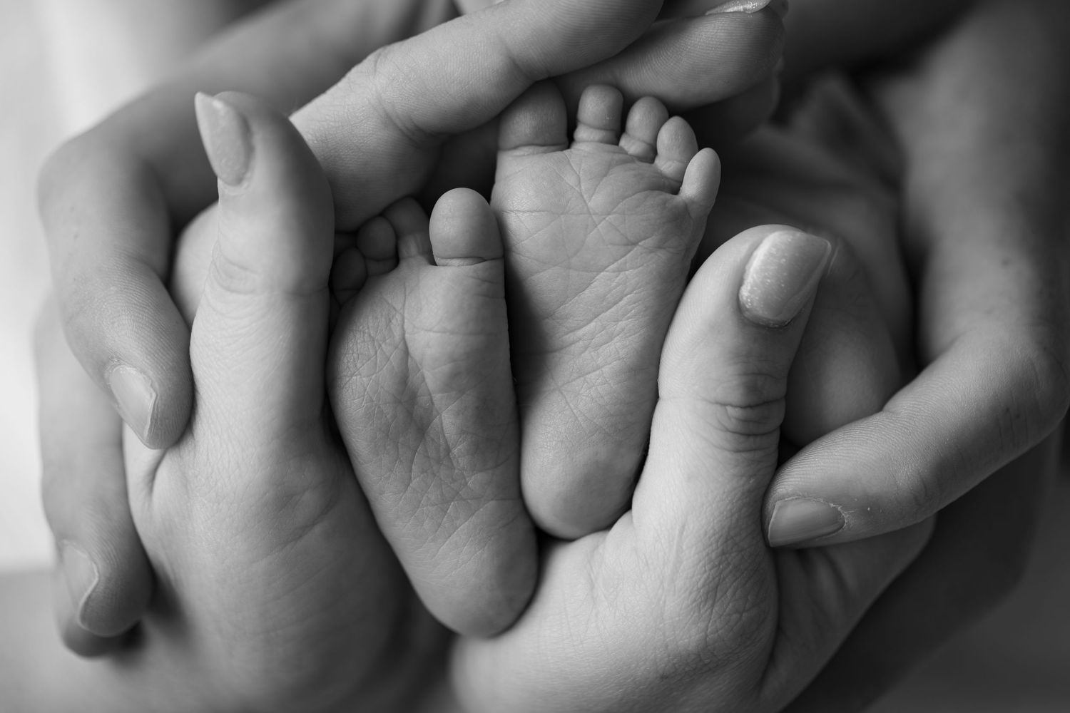 Black and white macro shot of tiny baby toes in a row with parents hands cradling around baby toes.