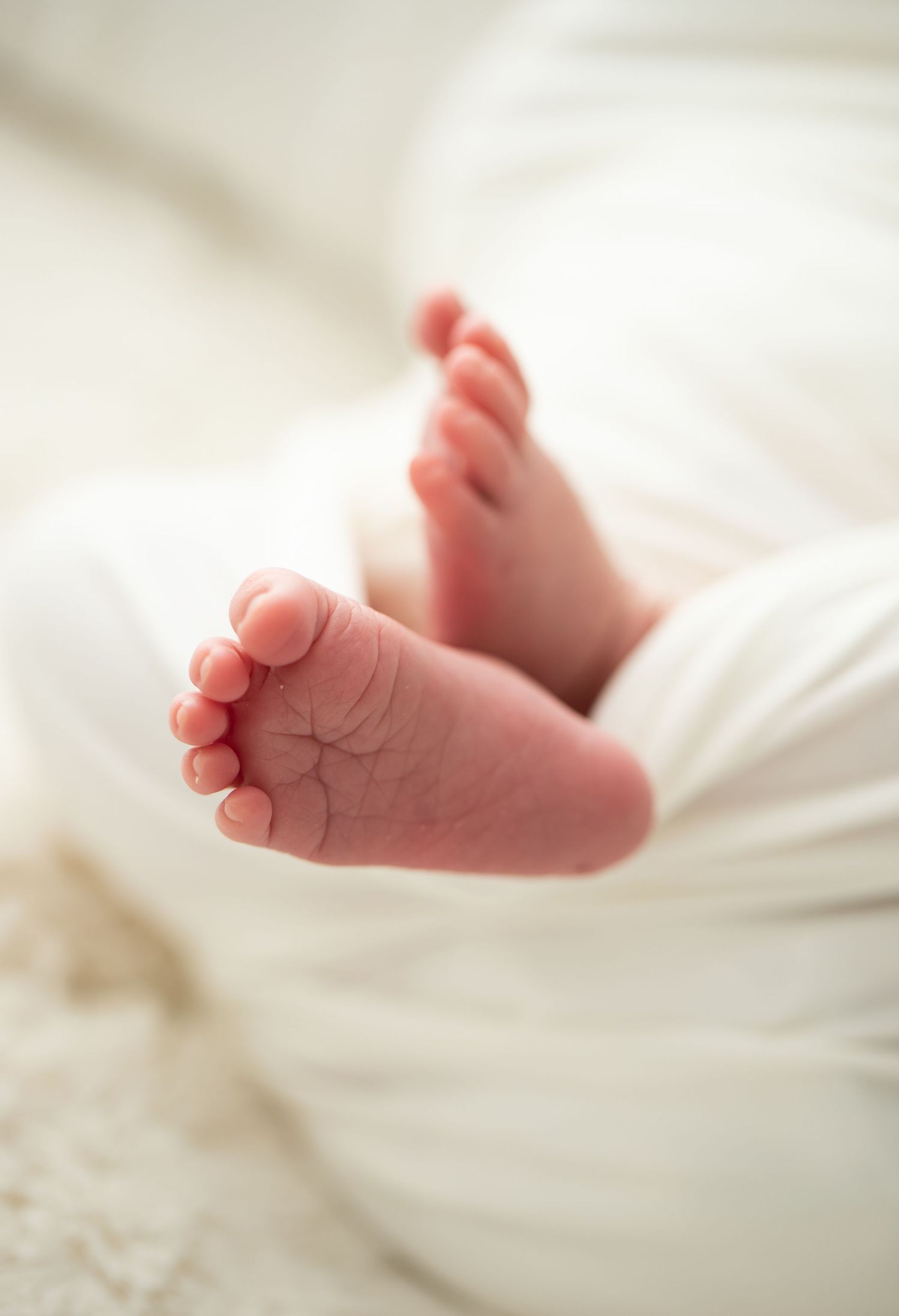 Tiny baby feet wrapped in soft white fabric.