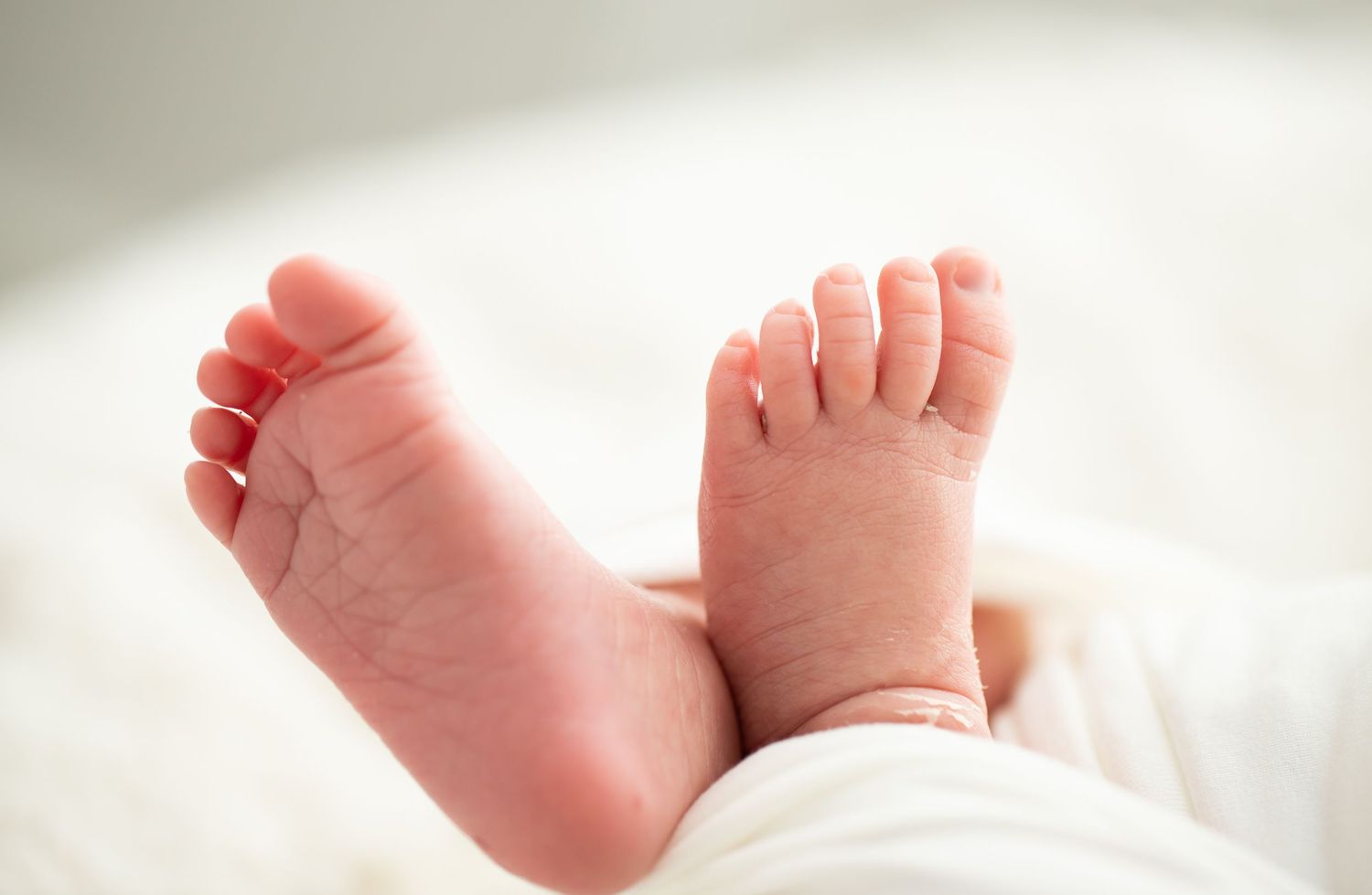 Series of delicate newborn baby feet against white background.