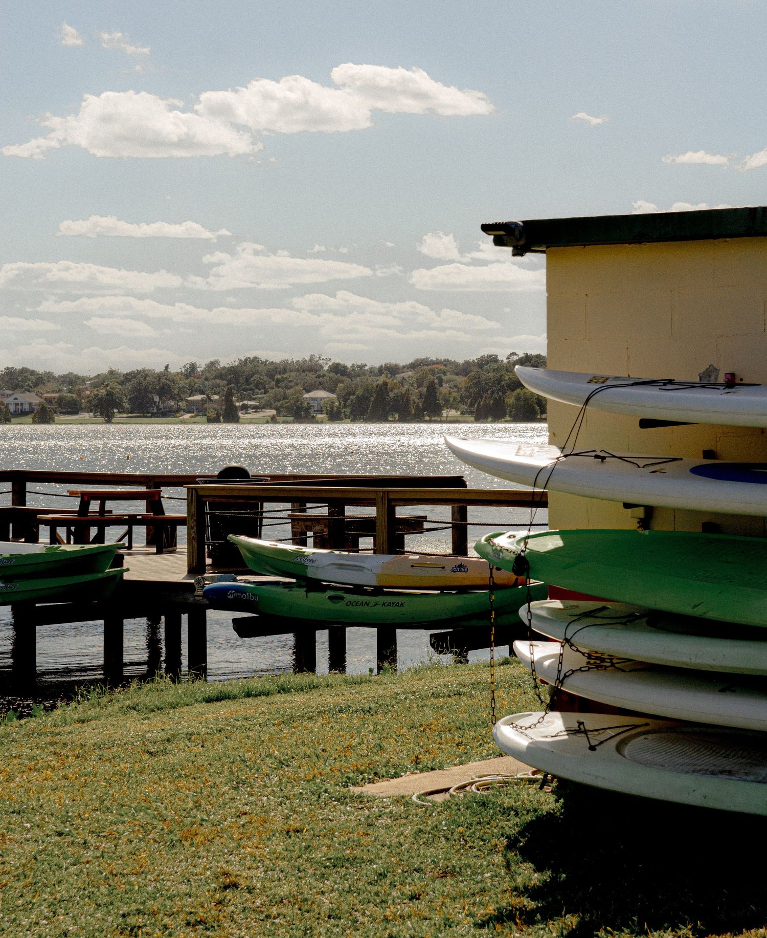 Row of boats stored on racks near the waterfront with grassy area in foreground.