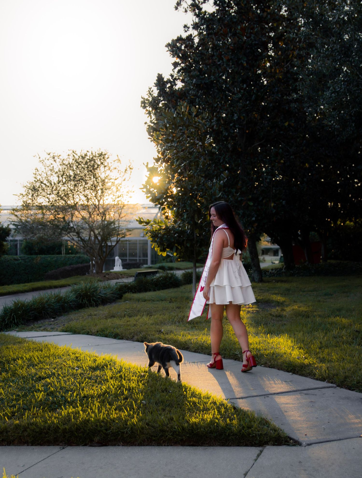 A person in a white dress walks their dog on a concrete path at sunset while golden wildflowers bloom nearby.