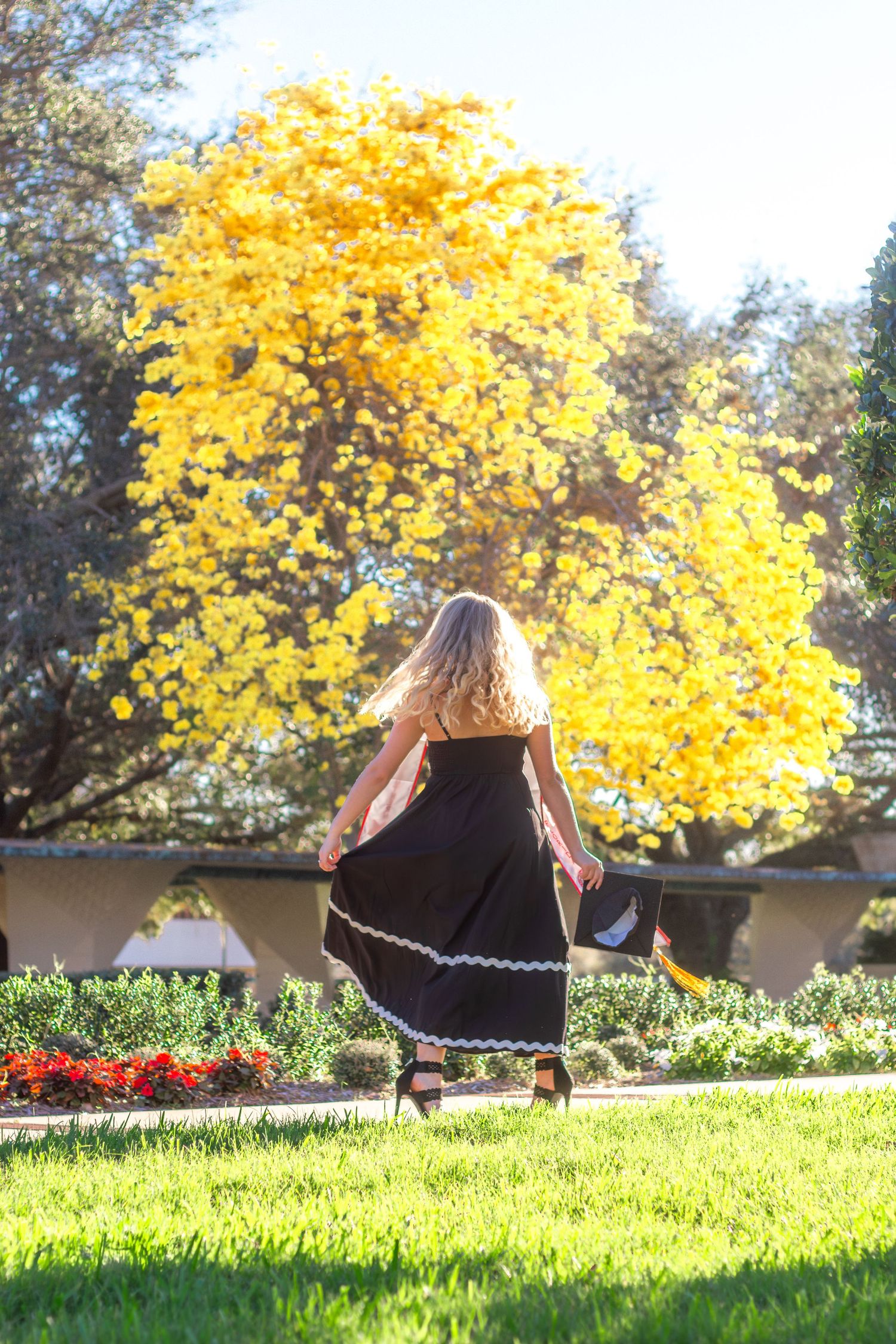 Graduate in black dress relaxes on grass with bright yellow fall foliage in background.
