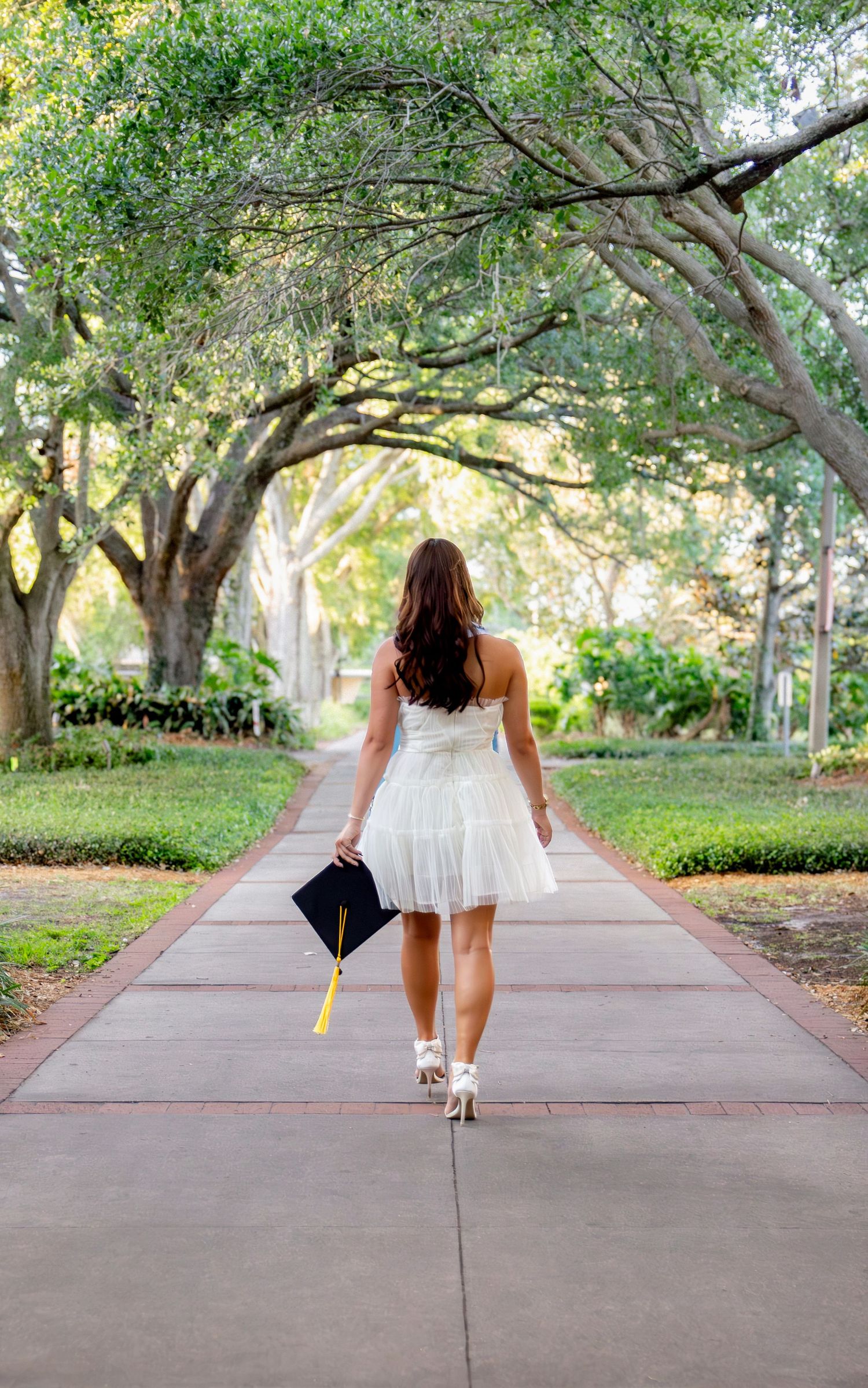 Series of graduation photos under tree-lined walkway on campus.