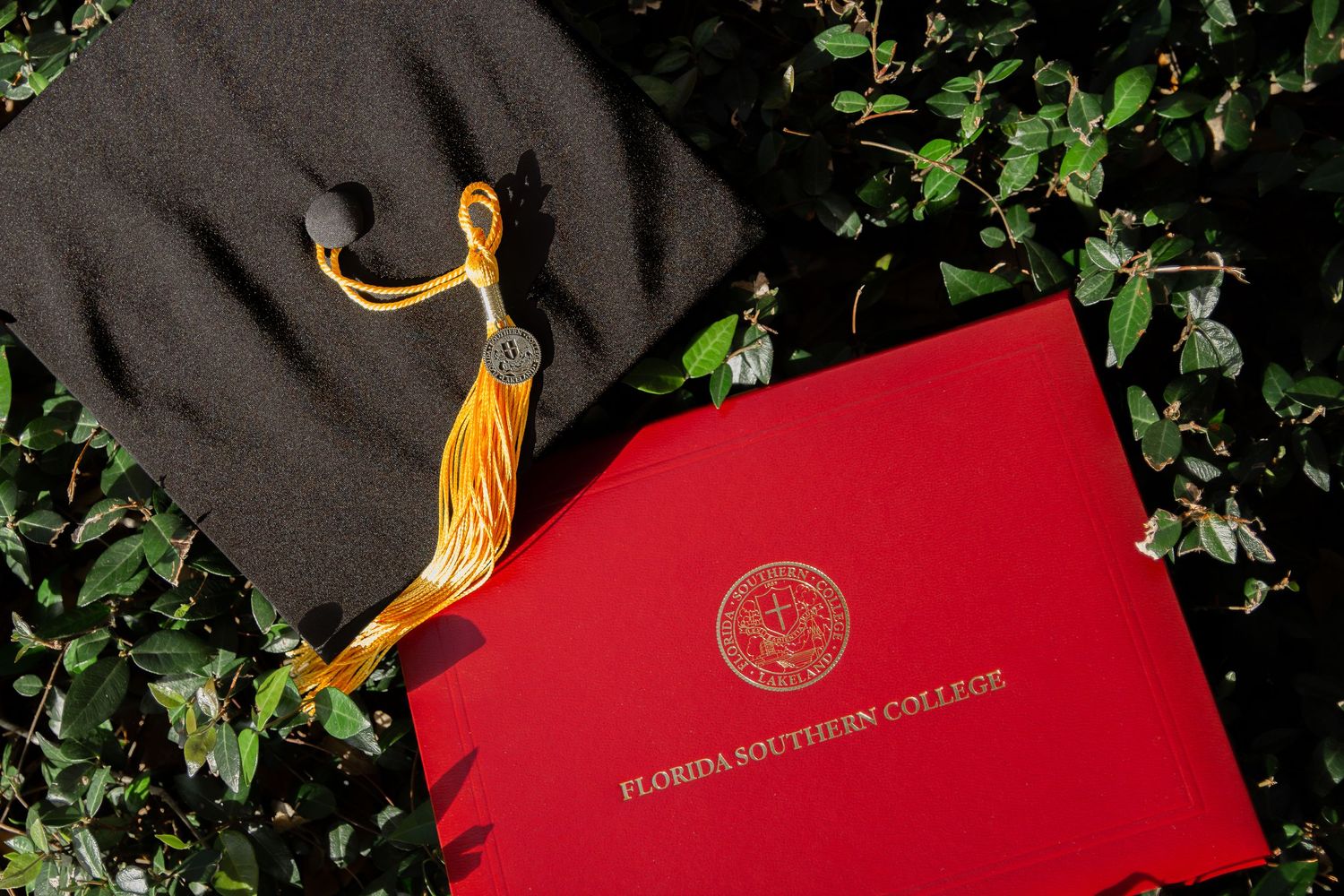 Red and gold branding materials featuring an elegant logo design.