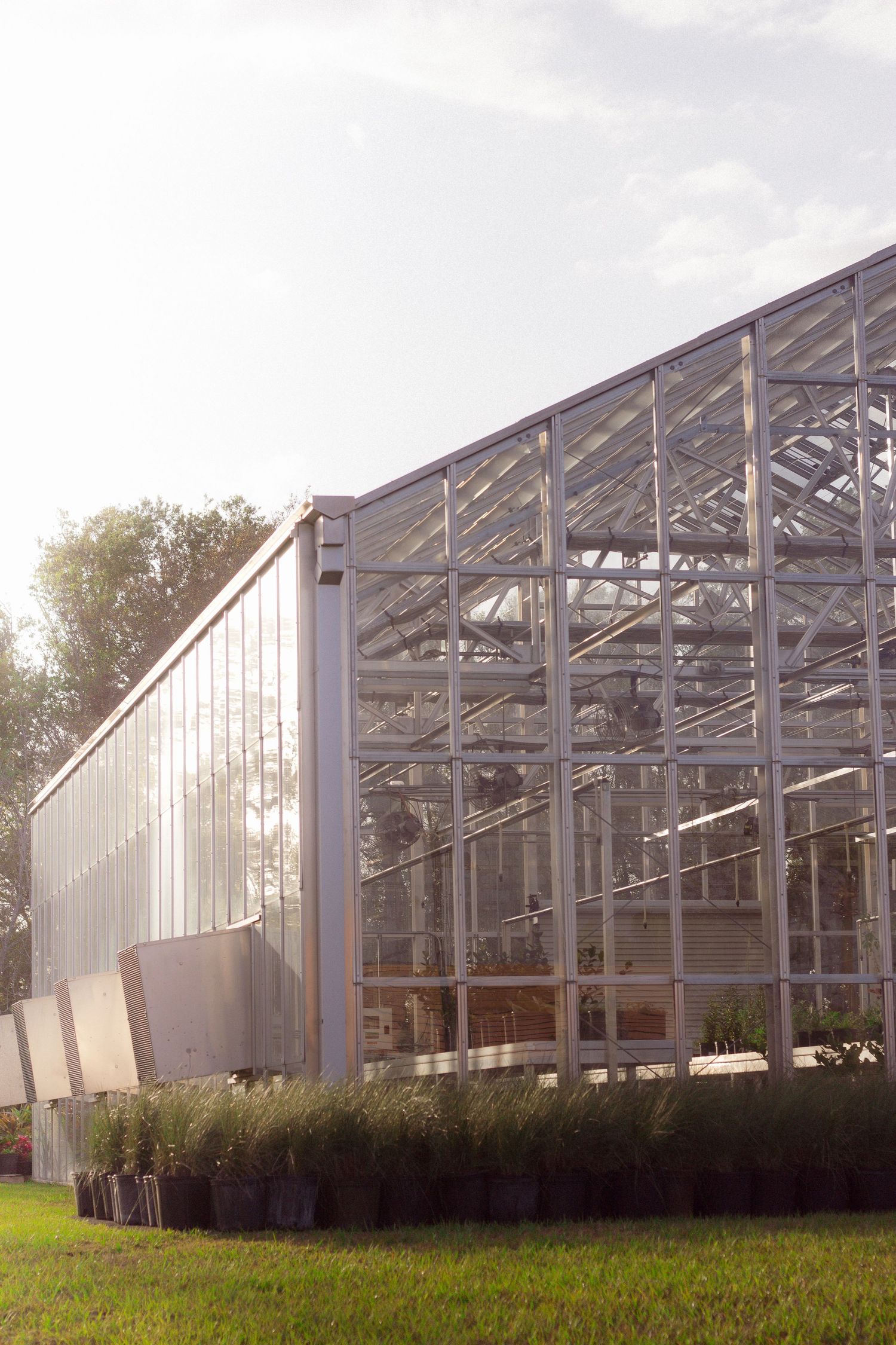 Large industrial greenhouse structures with white panels and metal framing in an open field.