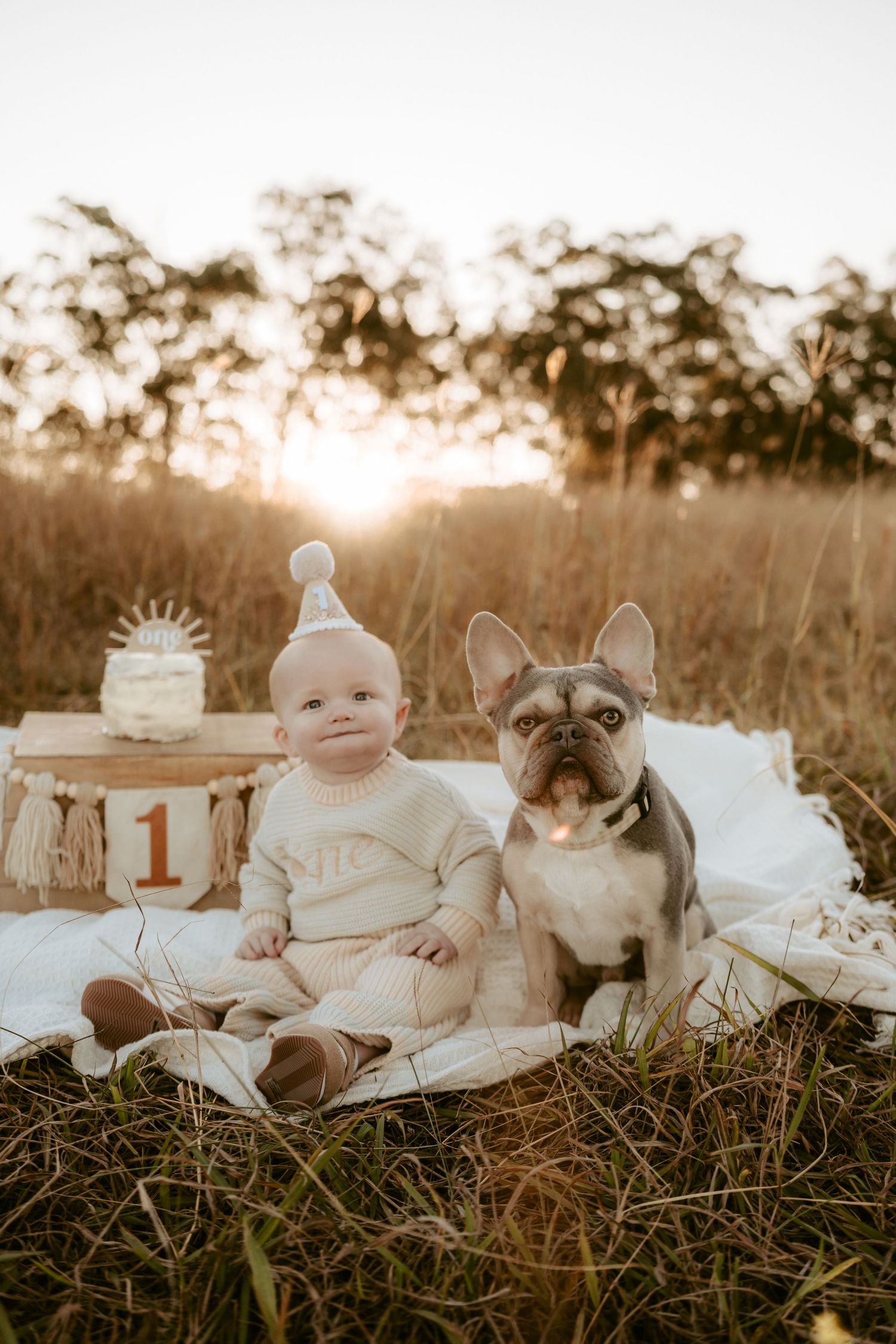 Baby in cream sweater with cat companion during outdoor sunset photoshoot with 'ONE' decorations.