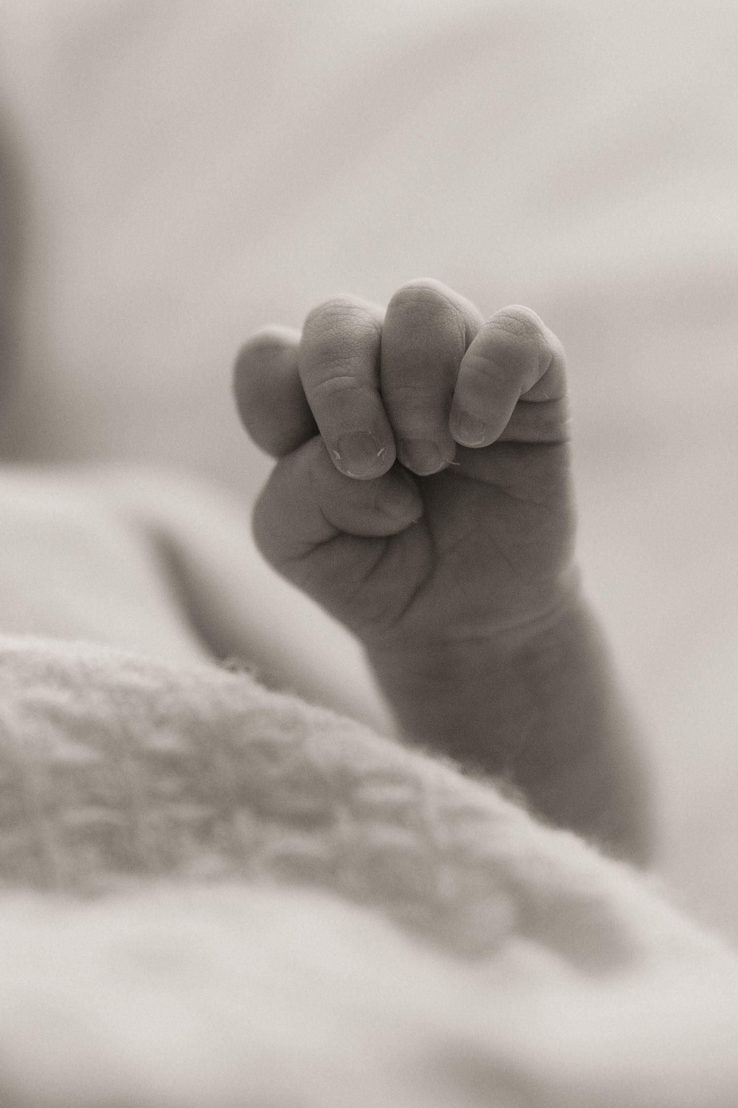 Close-up black and white photo of tiny baby feet against soft white bedding.