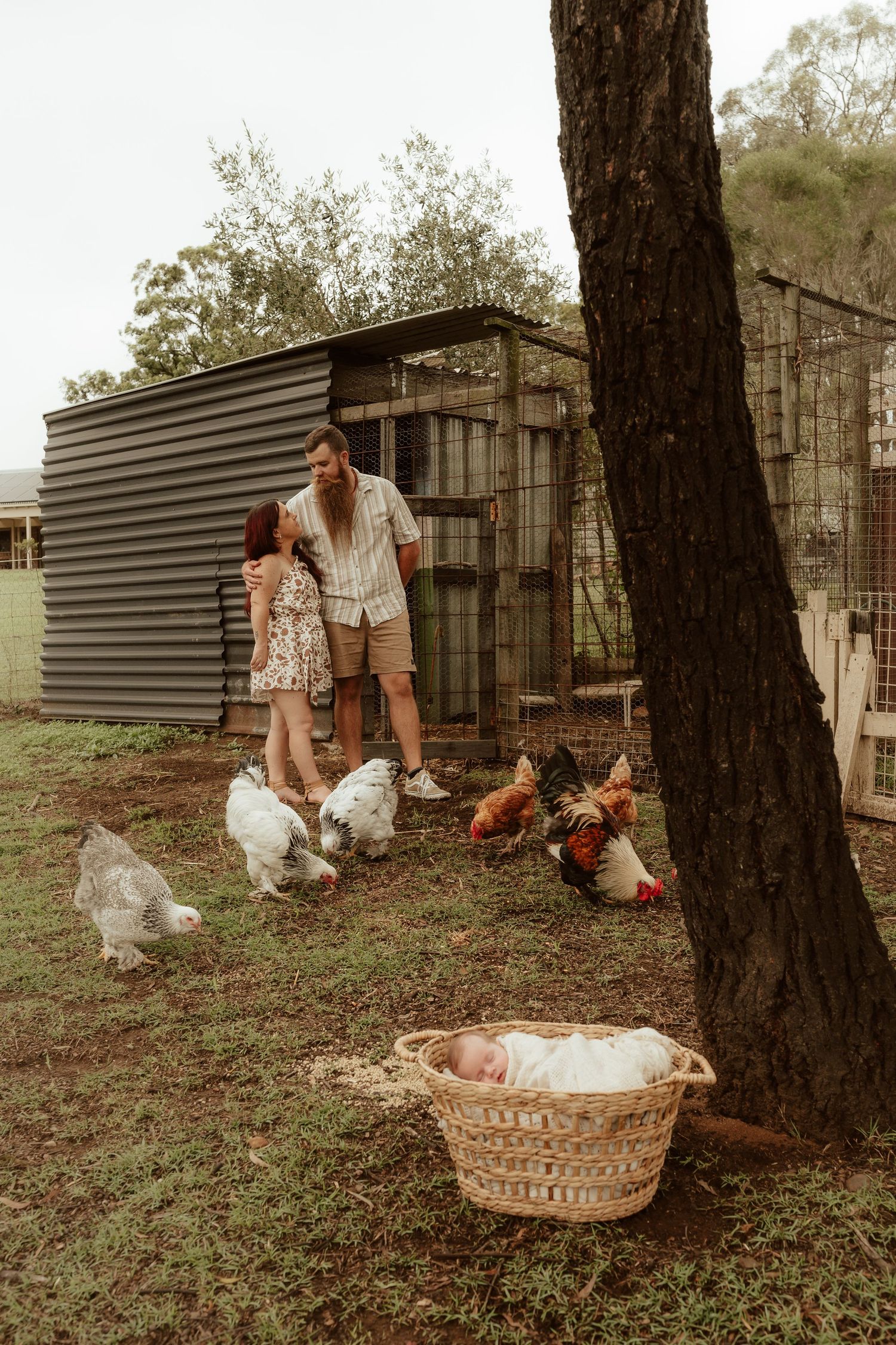 Family visiting chickens outside rustic metal coops in a wooded setting.