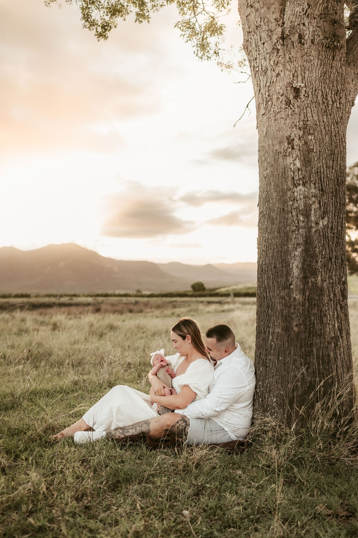 Family portrait session under large trees at sunset in a grassy field.