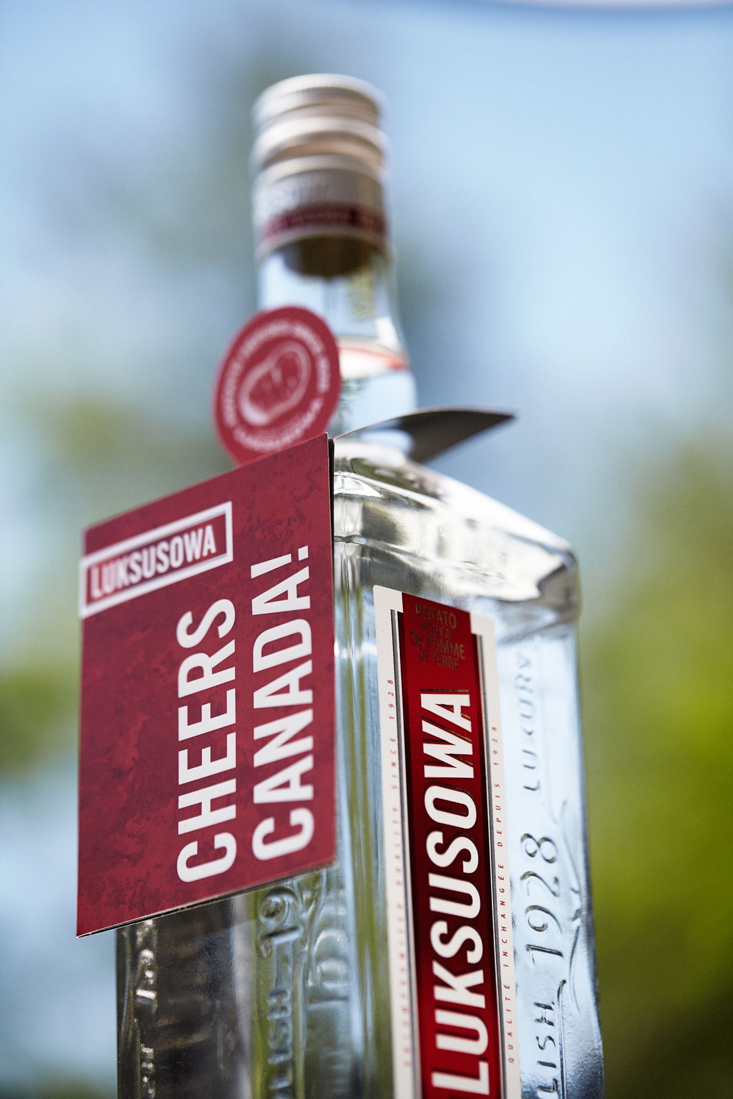 Luksusowa vodka shoot.