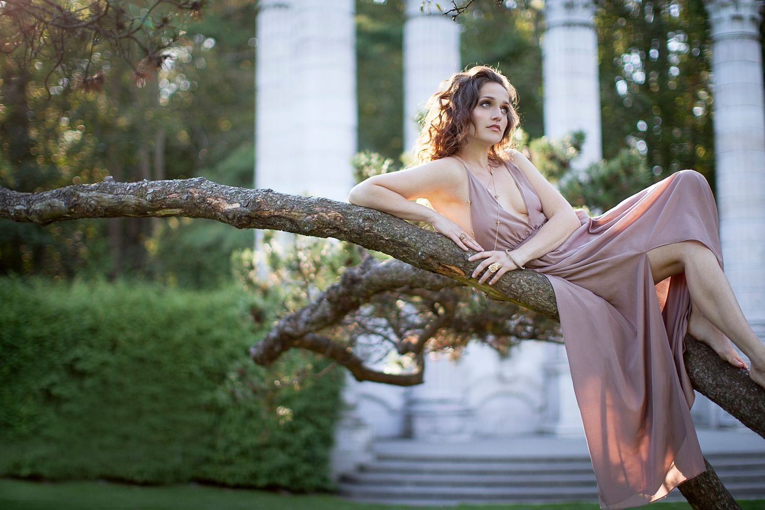 Photo of a model posing in a tree in Guildwood Park, Toronto.