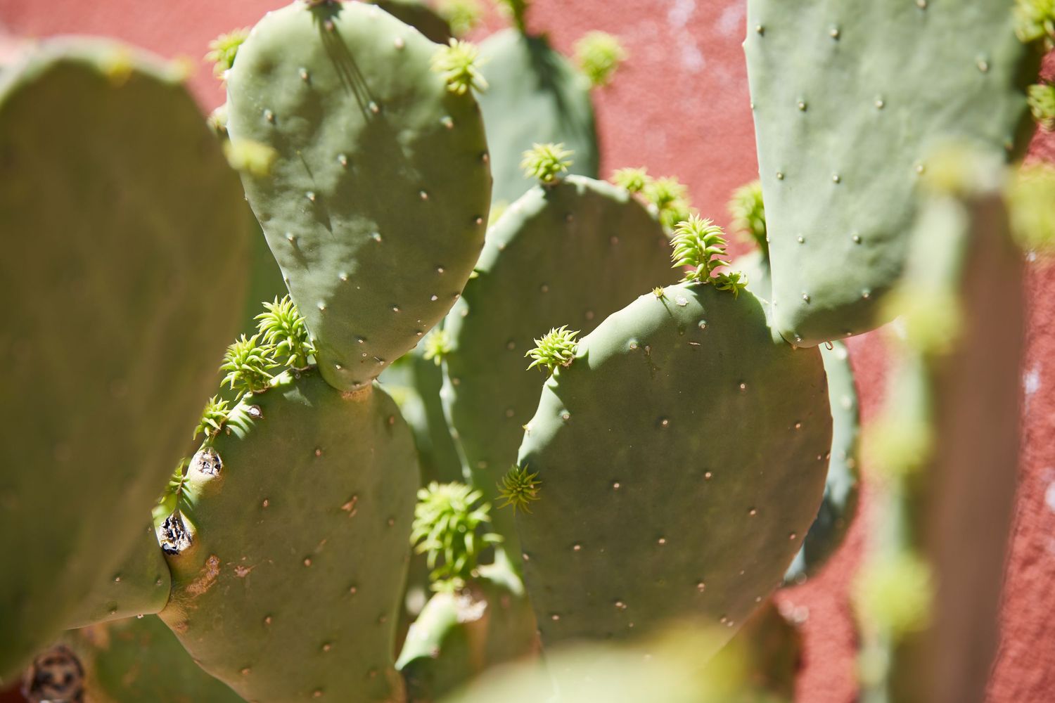 Photography for a 6 day retreat in Arizona, USA.