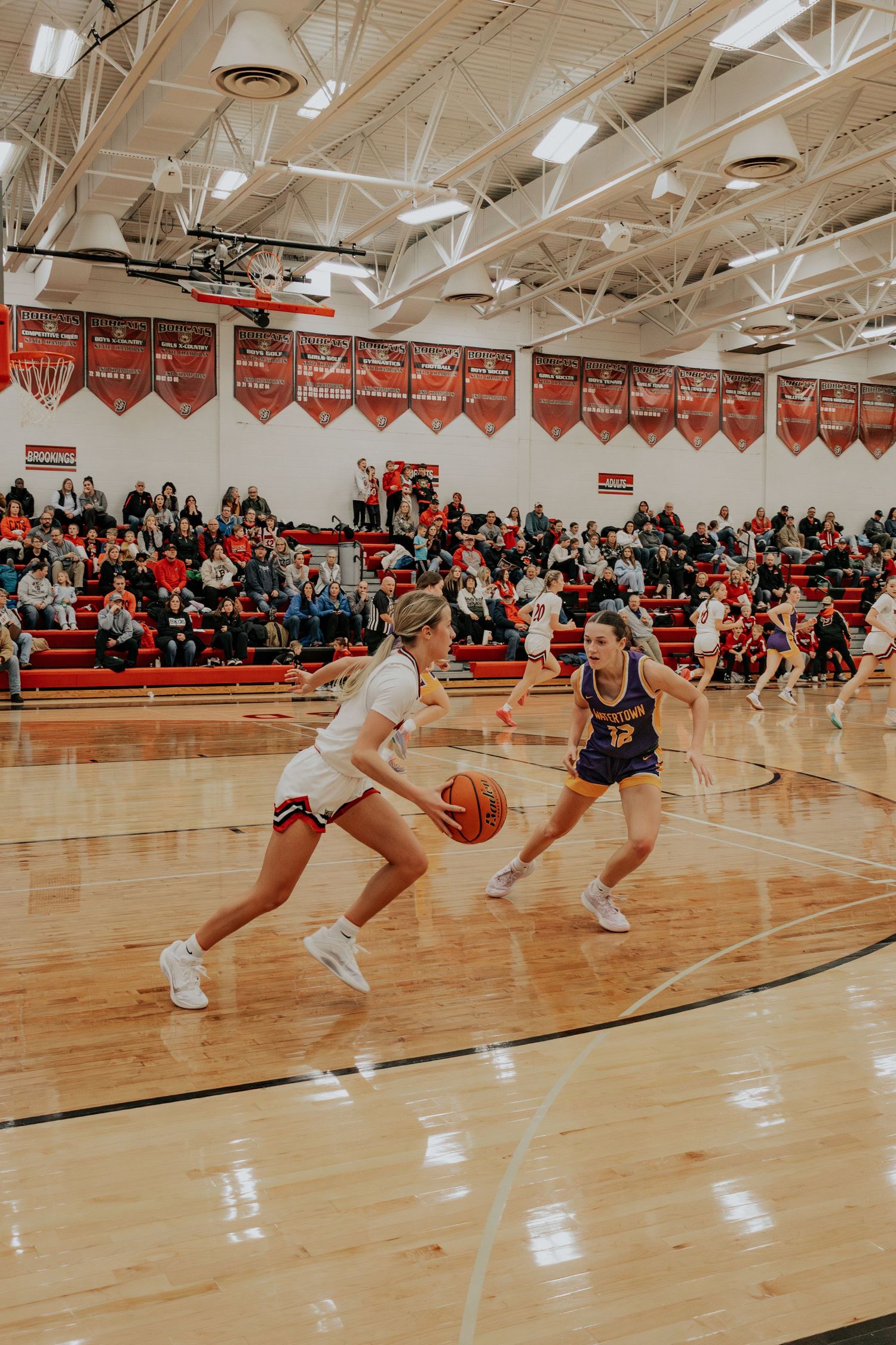 girls brookings basketball