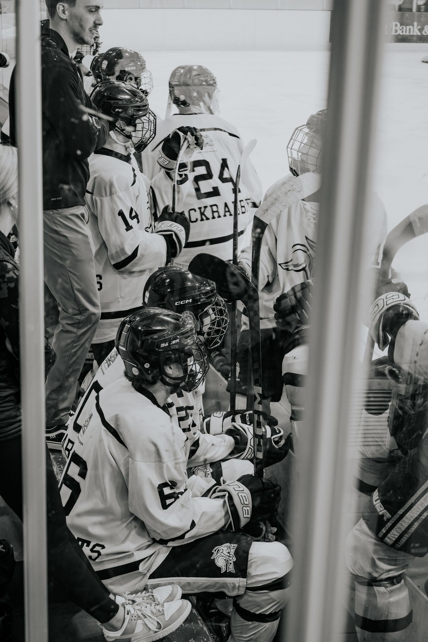 sdsu hockey