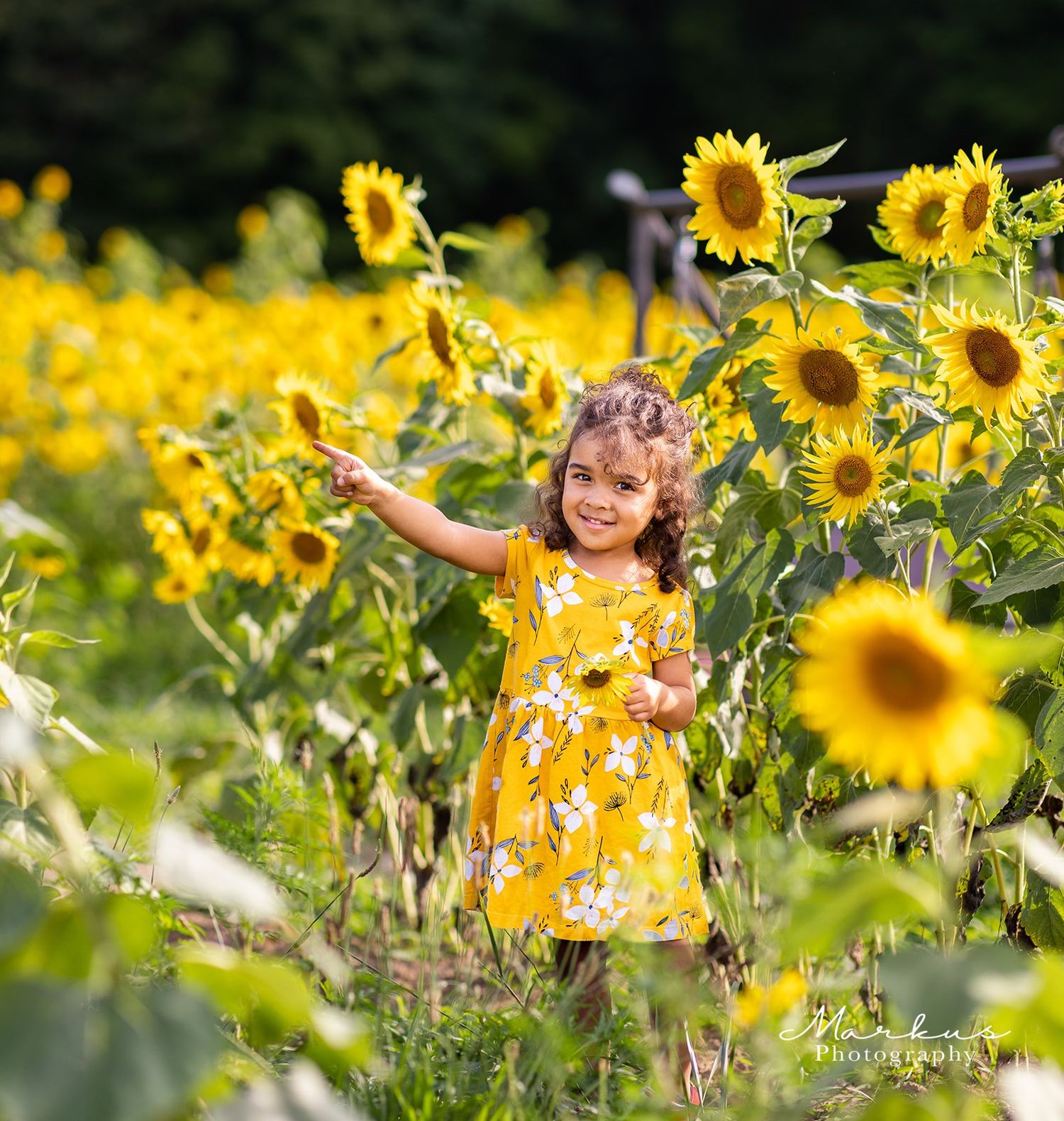 A joyful scene in a vibrant sunflower field with bright yellow blooms stretching into the distance on a sunny day.