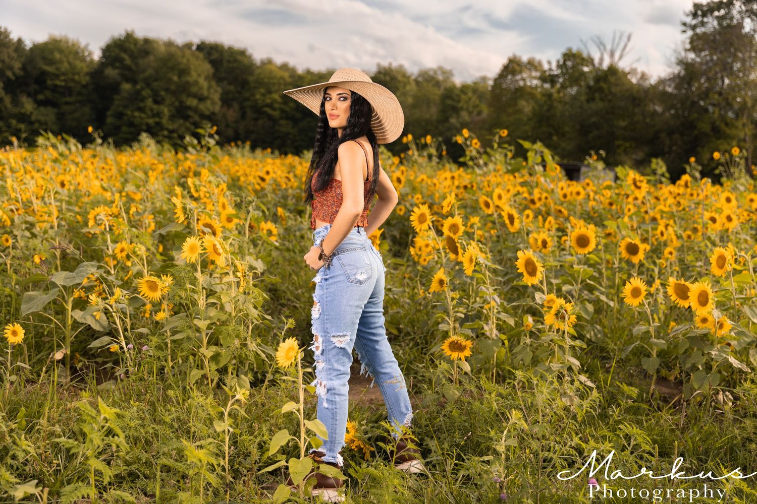 Vibrant yellow sunflower field stretches across a rural landscape on a sunny summer day.