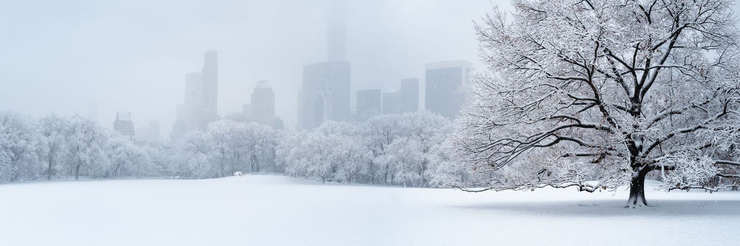 Snow-covered Central Park during a winter storm, with the Manhattan skyline fading into the distance.