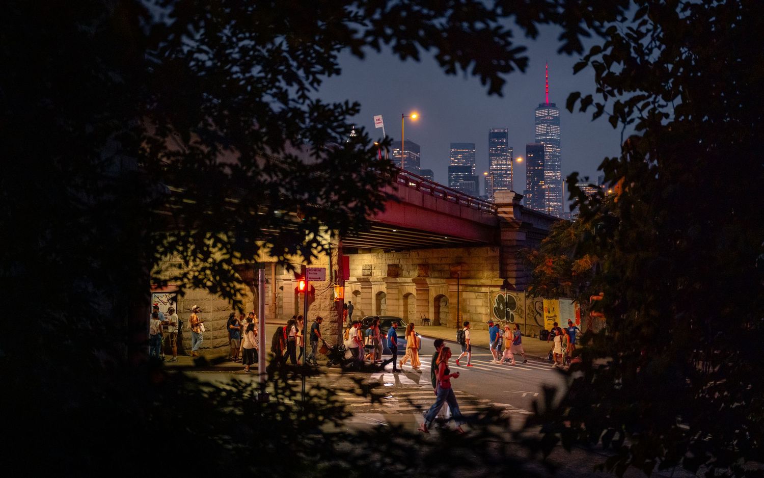 Lower Manhattan and One World Trade Center framed by leaves on a summer night in Brooklyn.