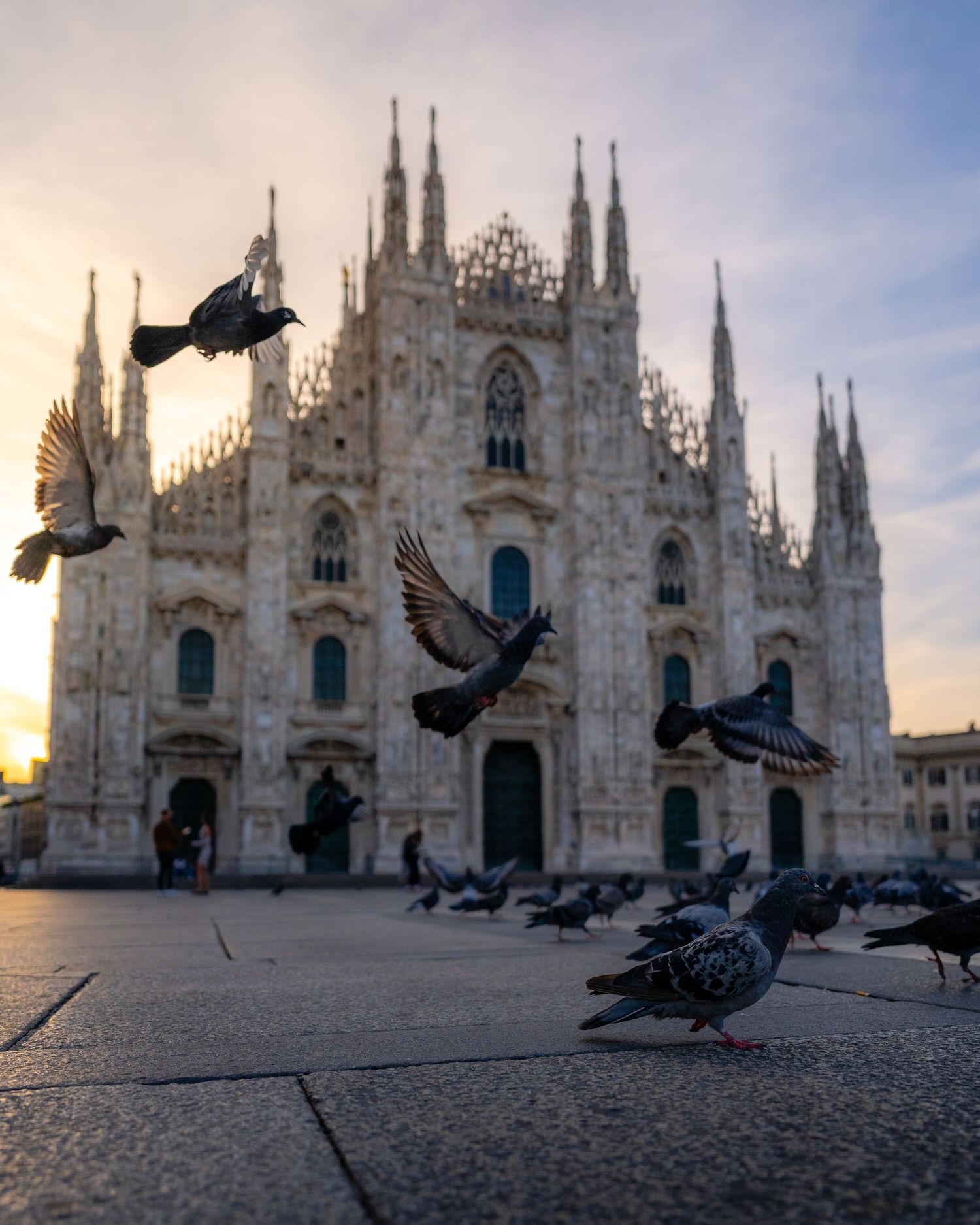 Pigeons taking flight in front of Milan’s Duomo during early morning light.