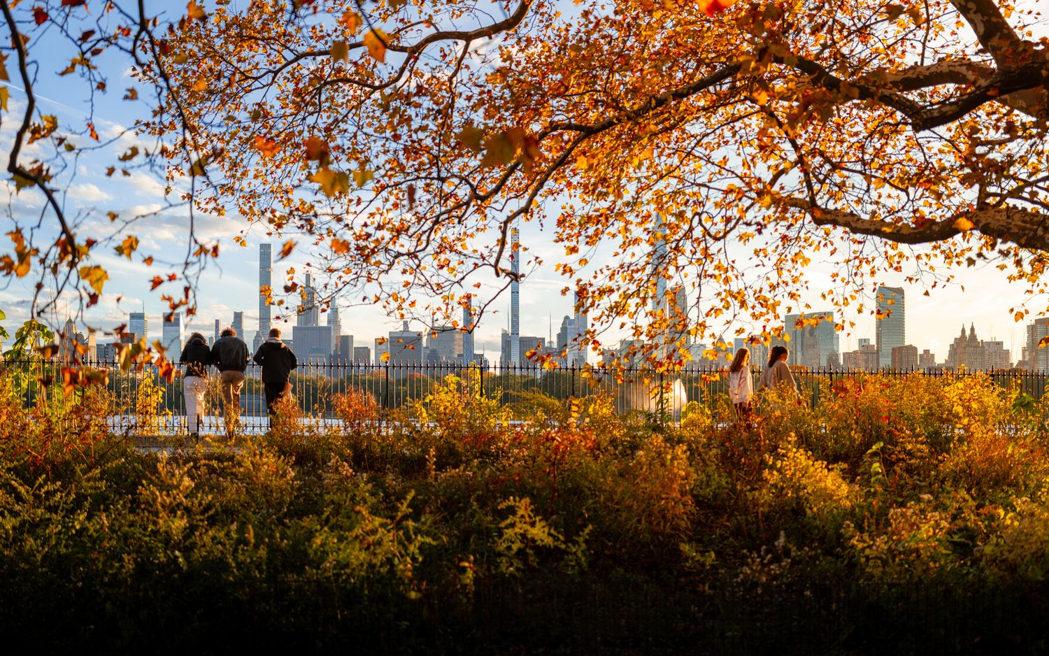 People standing beneath autumn trees in Central Park with the Midtown Manhattan skyline in the background.