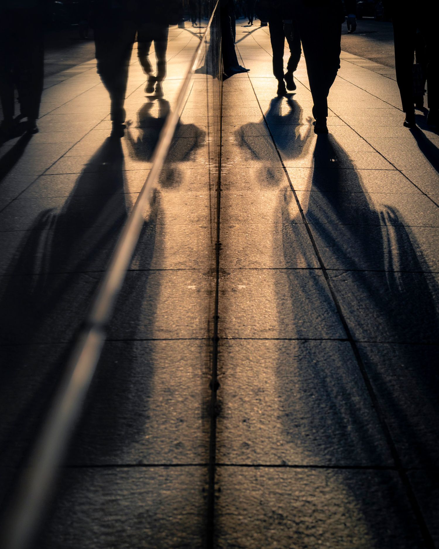 Silhouettes and long shadows reflected symmetrically across a mirrored wall in golden sunlight