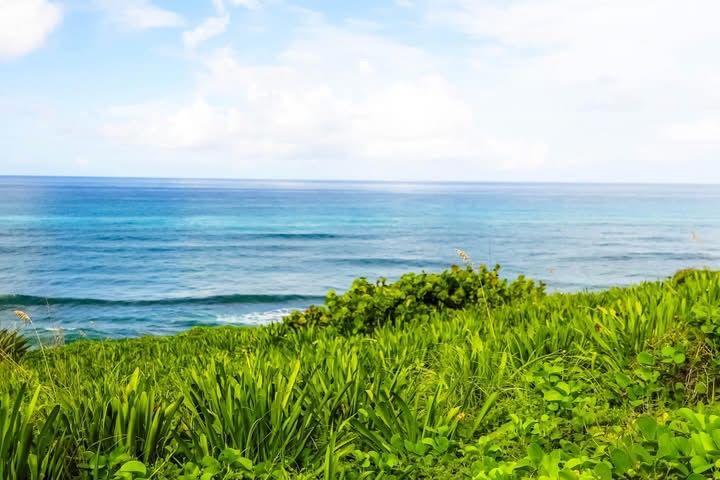 best beach in Eleuthera