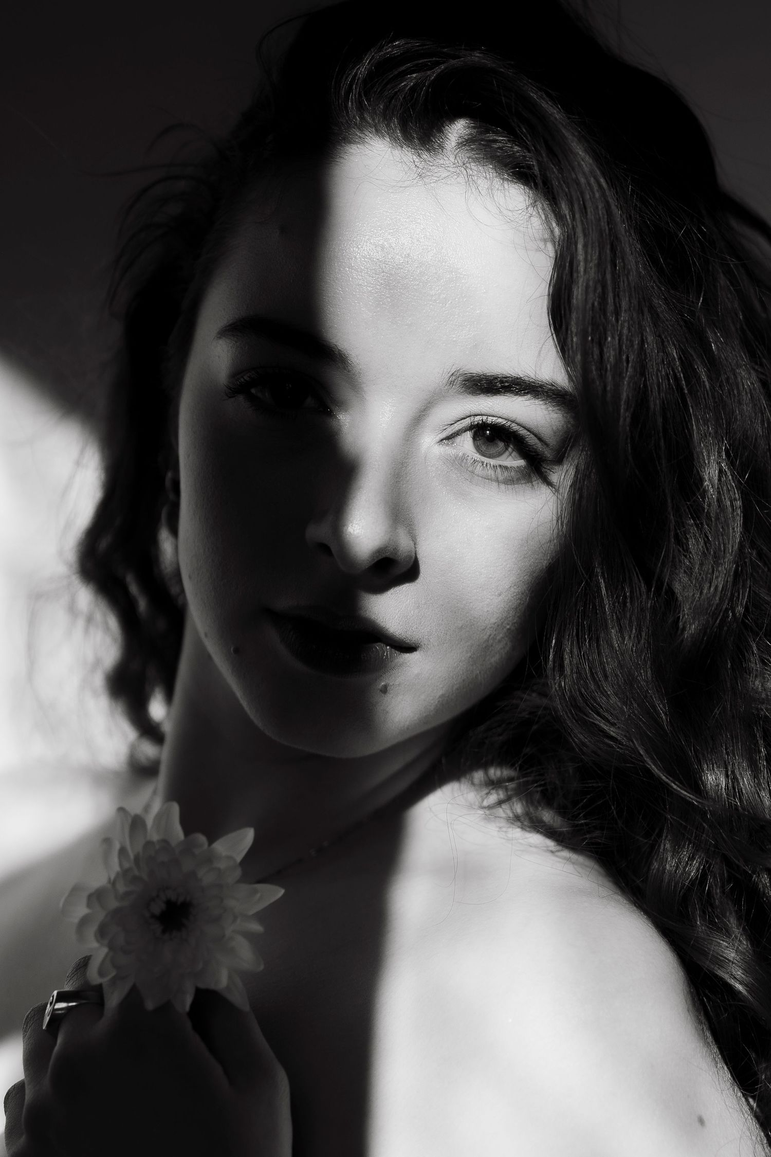 Portret L