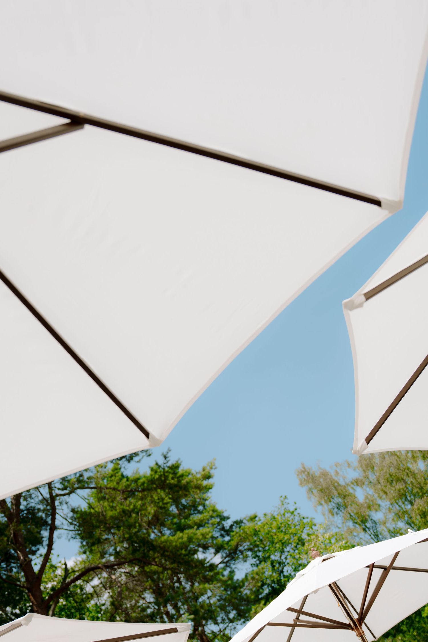 White patio umbrellas viewed from below against a blue sky with green trees in the background.