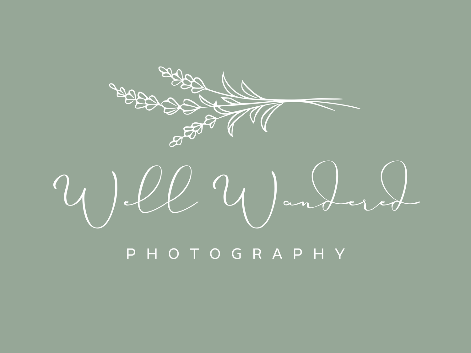 Elegant photography logo design featuring white calligraphy text and delicate botanical branch illustration on sage green background.