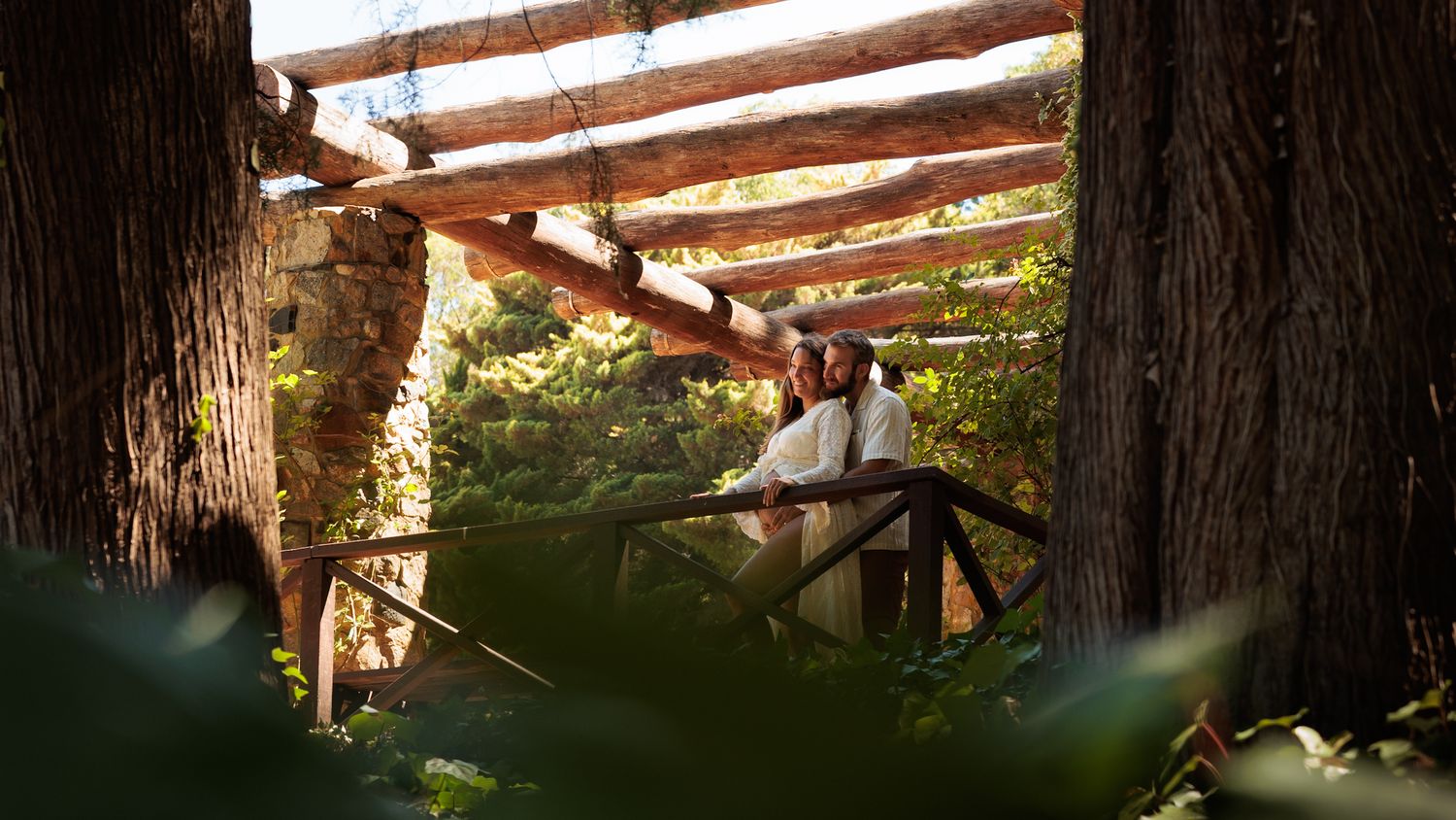 A rustic wooden deck or pathway extends through a serene redwood forest setting with dappled sunlight filtering through.