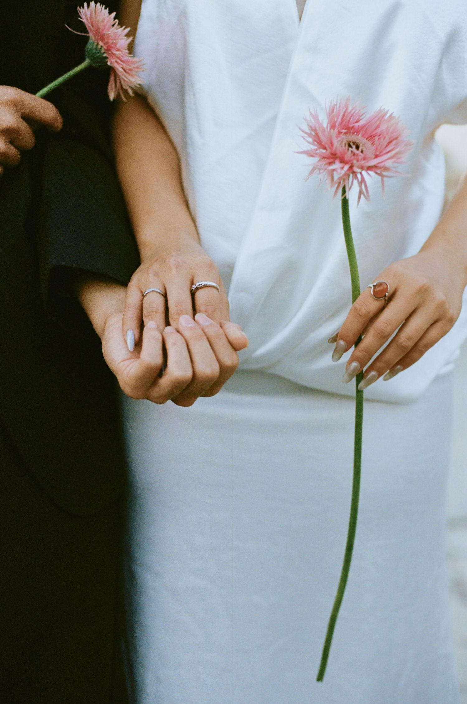 Two newlyweds display wedding rings while holding pink gerbera daisies, one in white dress and one in black outfit.