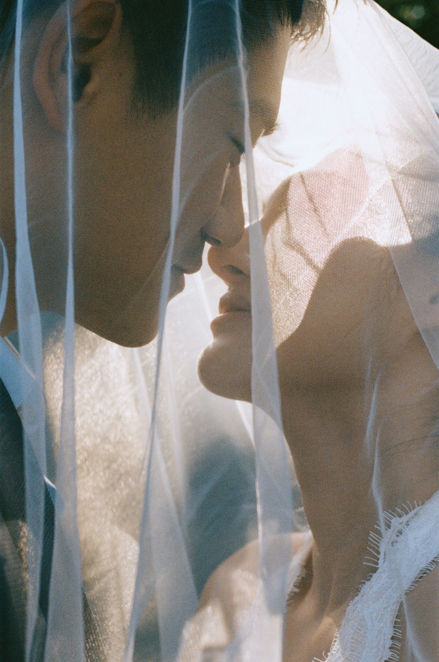 Bride and groom lean foreheads together beneath a sheer bridal veil in warm sunlight.