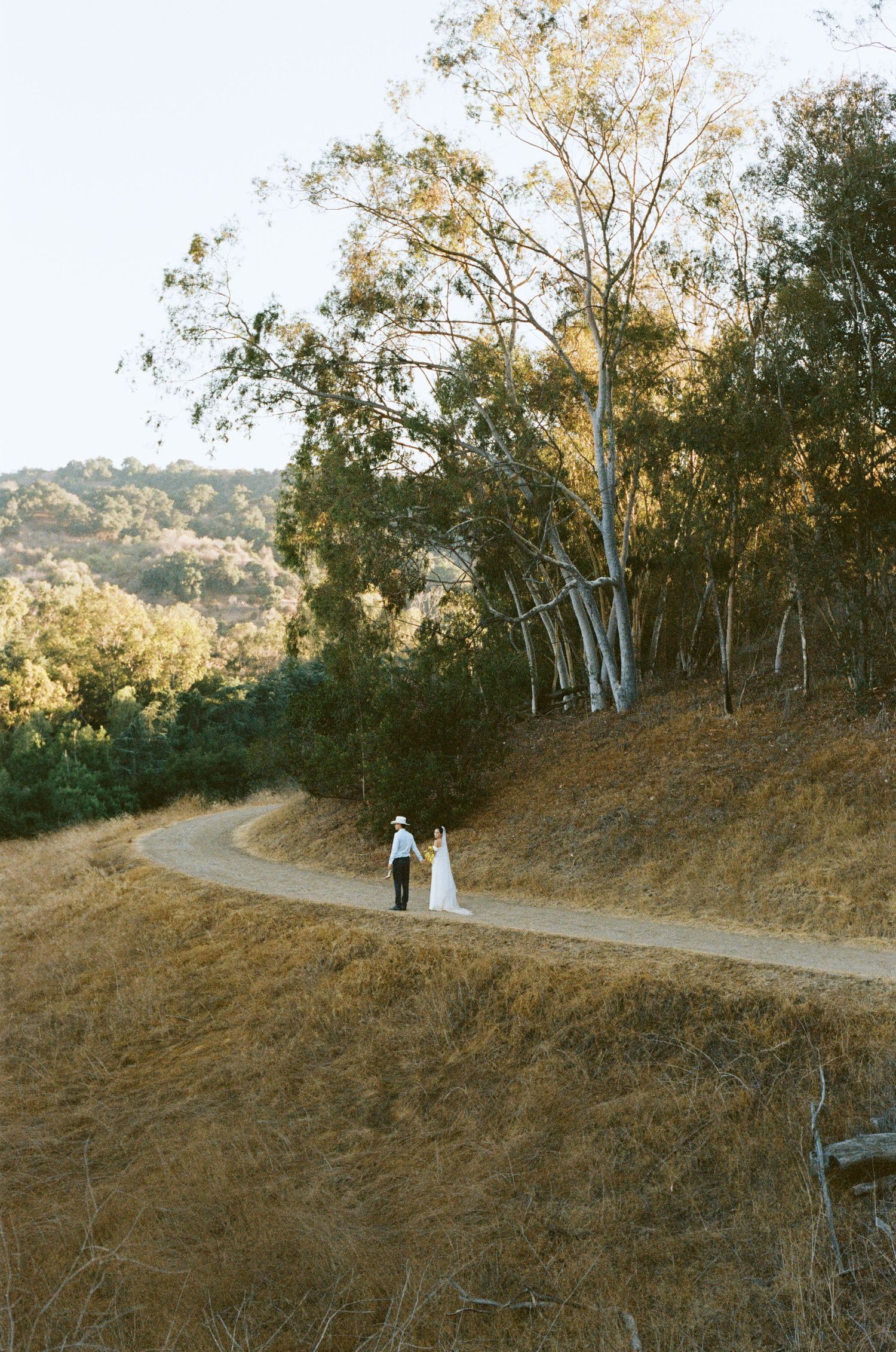 Bride and groom walk hand in hand along a winding dirt road flanked by golden grass and tall eucalyptus trees.
