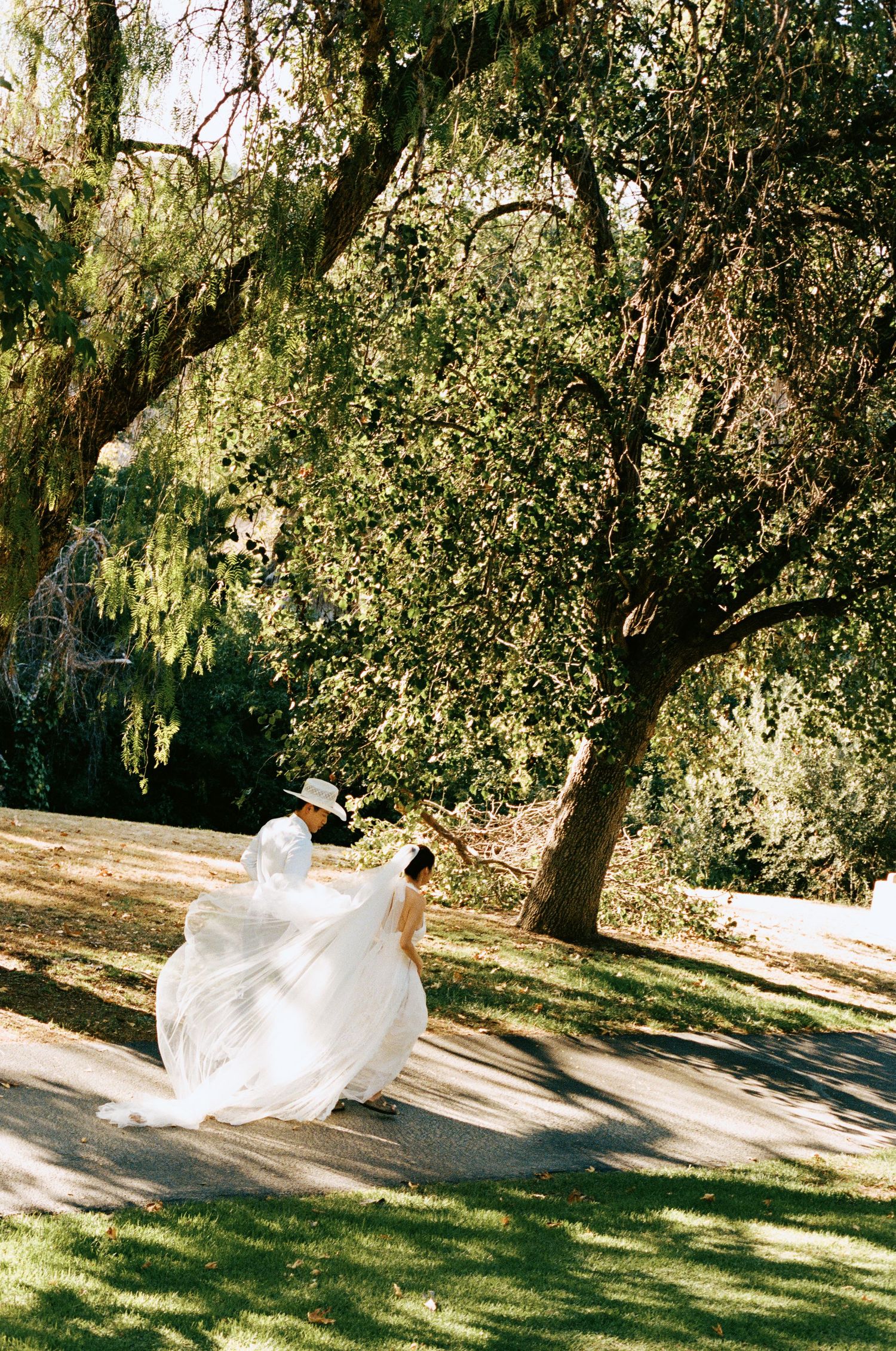 Bride in flowing white gown twirls on a sunlit path beneath large moss-draped trees in a lush garden.