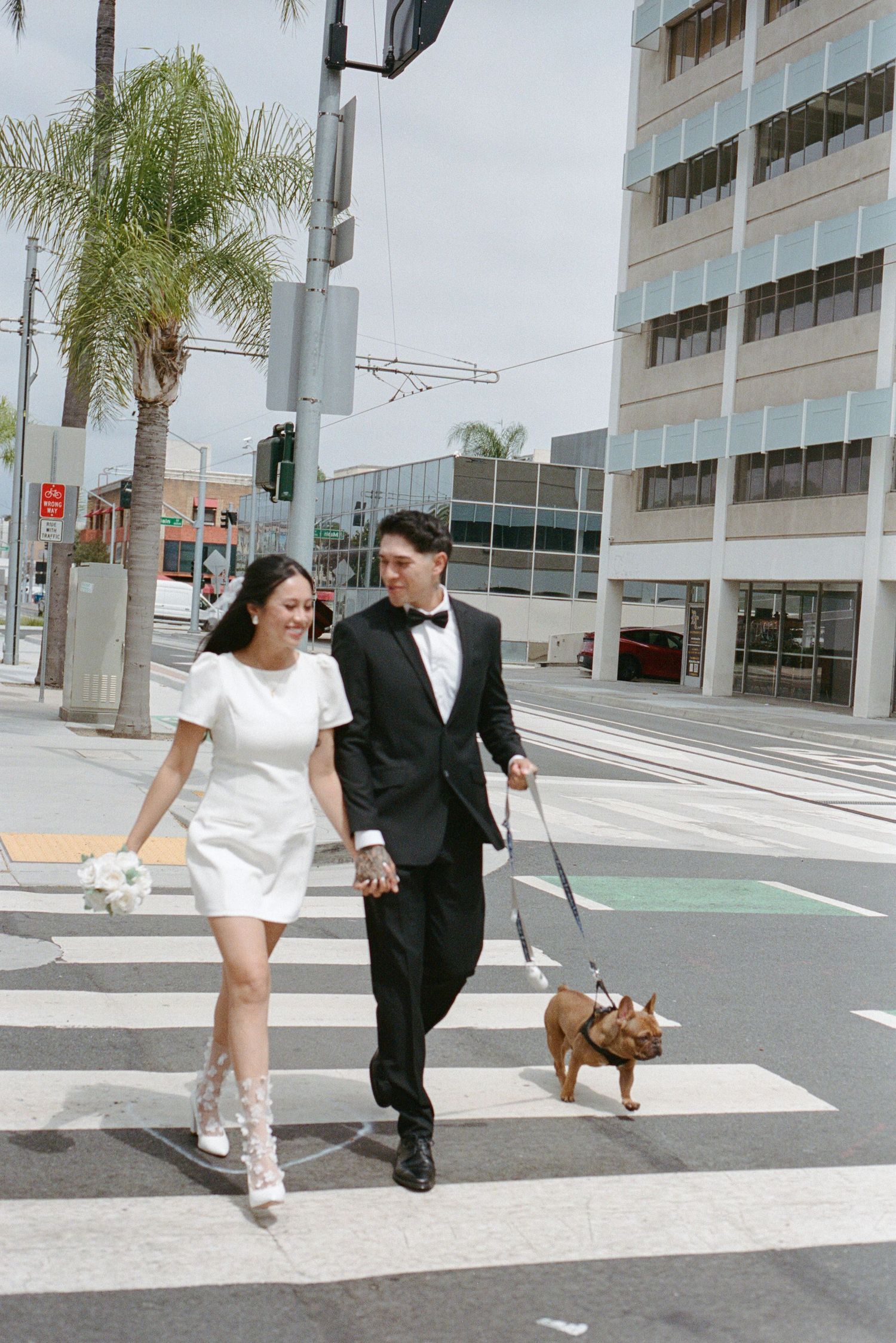 Smiling bride and groom in white mini dress and tuxedo cross a city street with their French Bulldog.