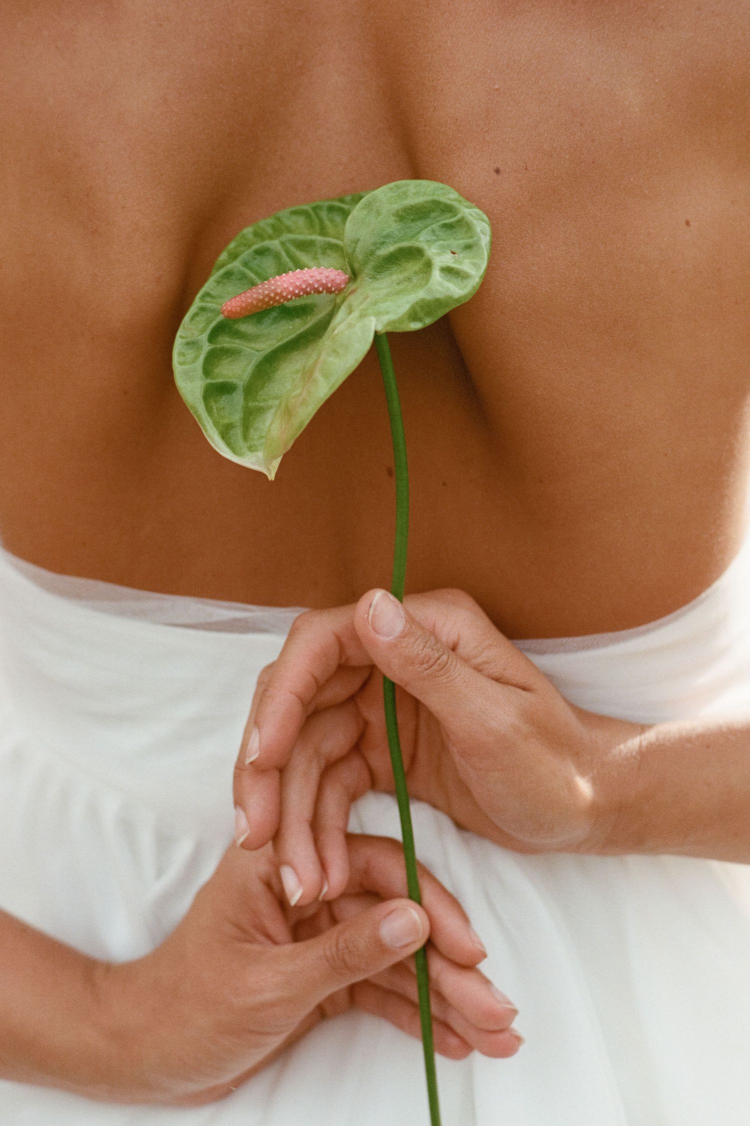 Close-up of bride holding green anthurium flower behind her back in white strapless wedding dress.