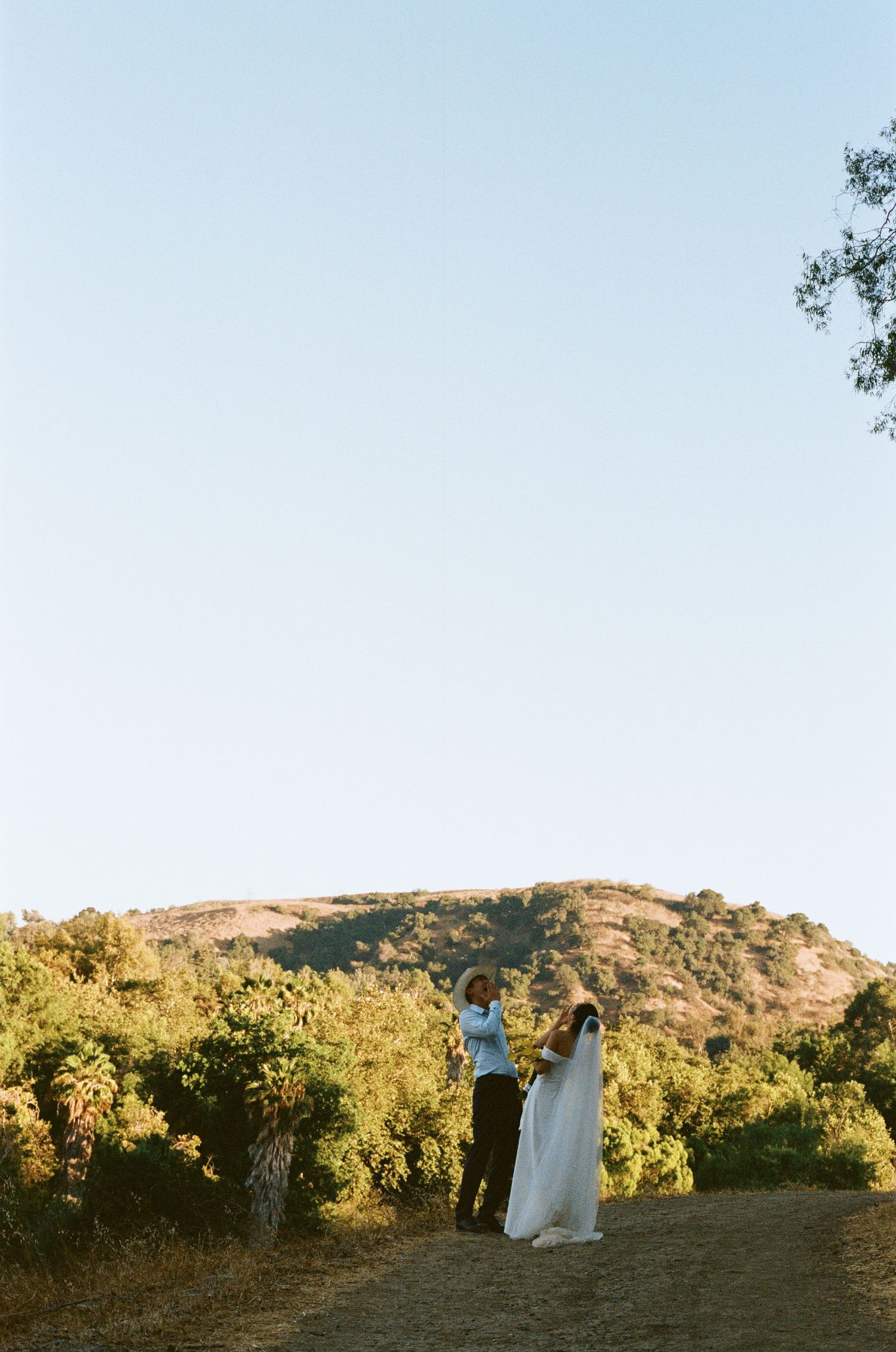 Bride and groom stand together on a hilltop surrounded by green shrubs with a rocky mountain and clear blue sky.