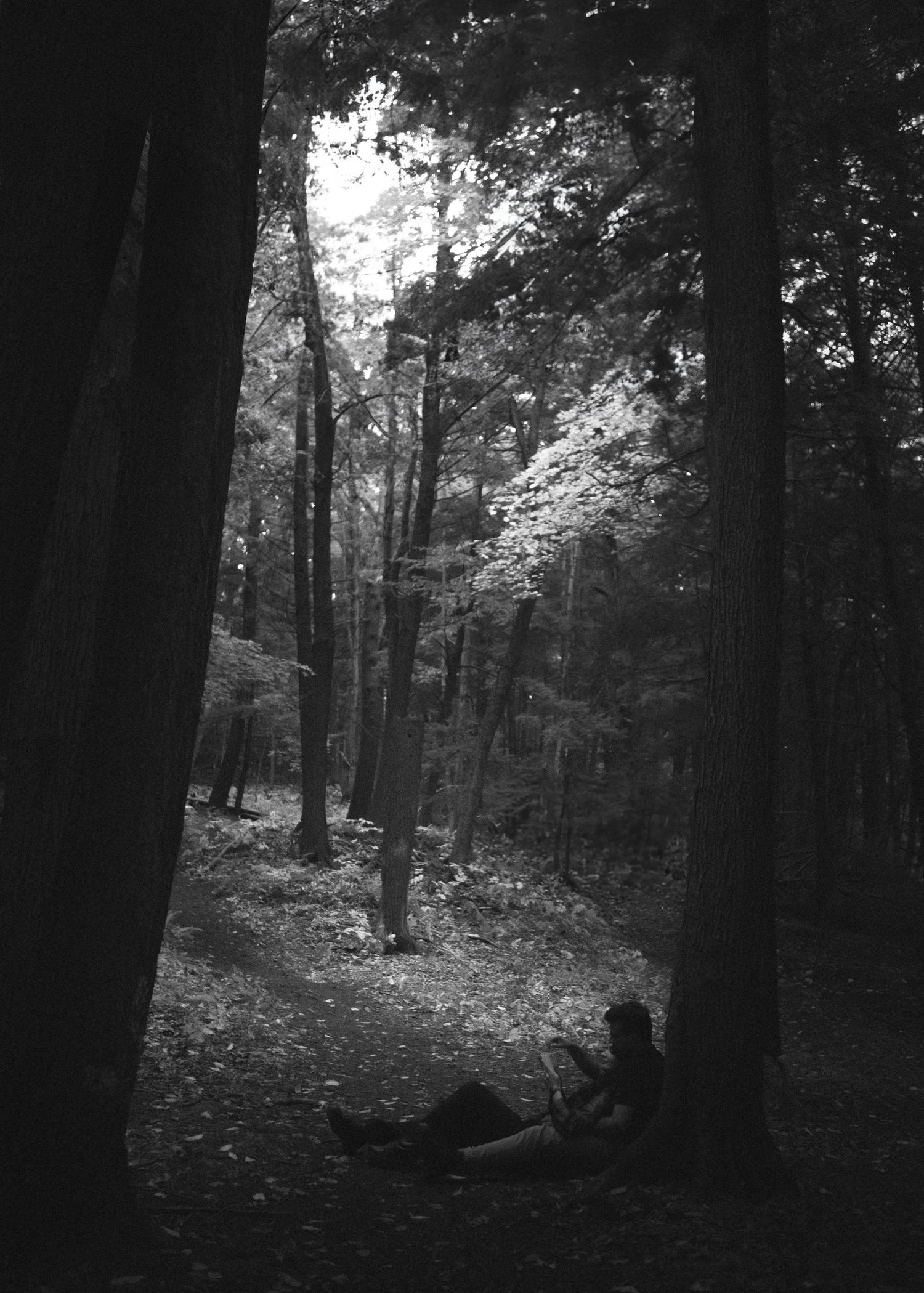 Cinematic documentary-style couples photography taken outdoors in Ontario, couple reading by a tree