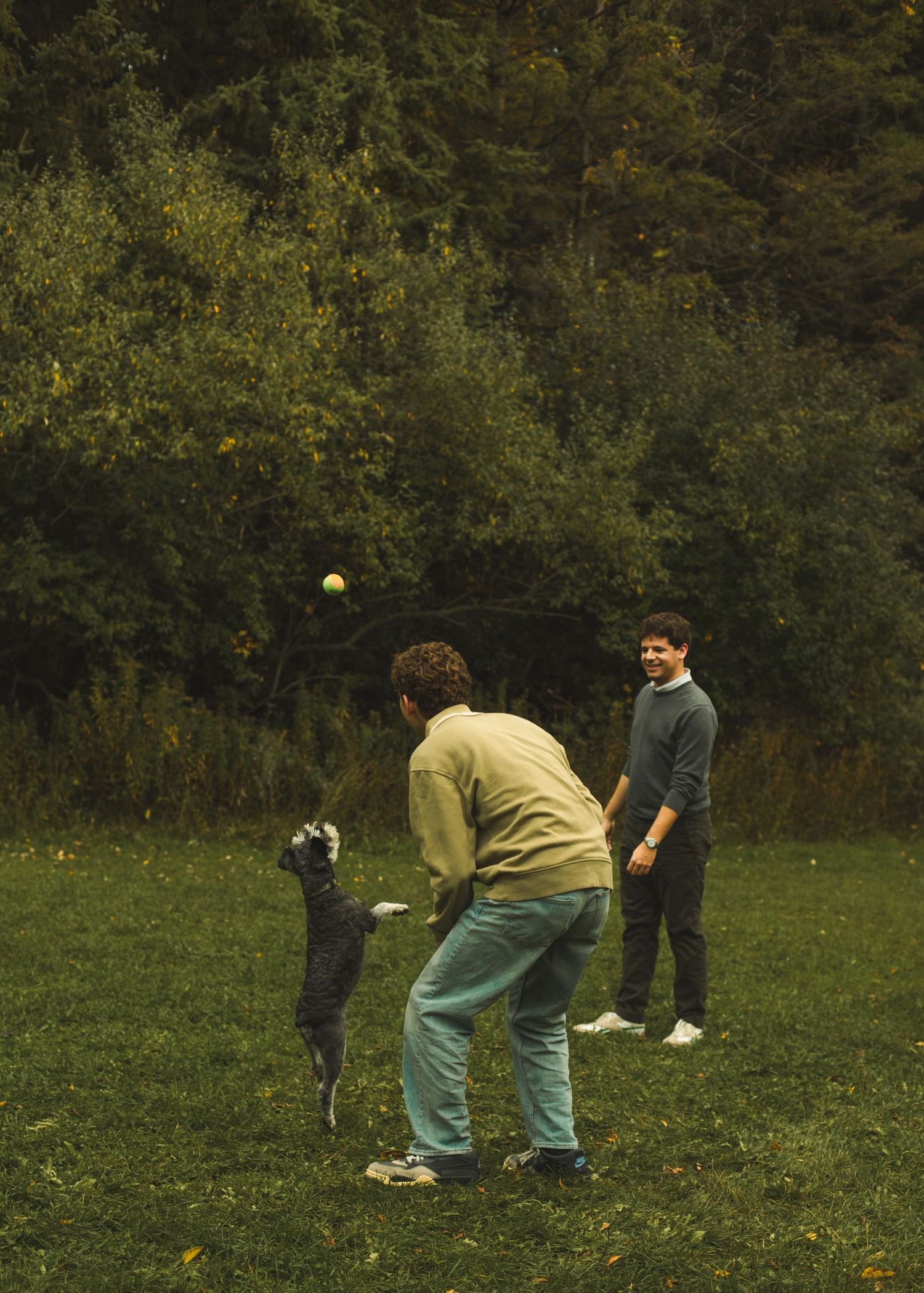 Family photography in Toronto, natural landscape of forest