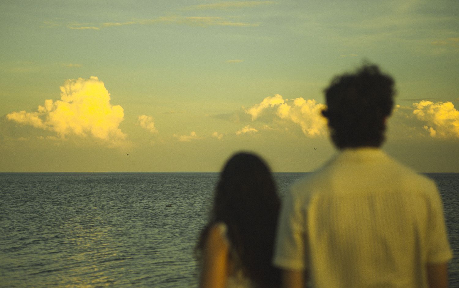 Cinematic documentary-style couples photography taken in Toronto nature, candid and emotional interaction, beach