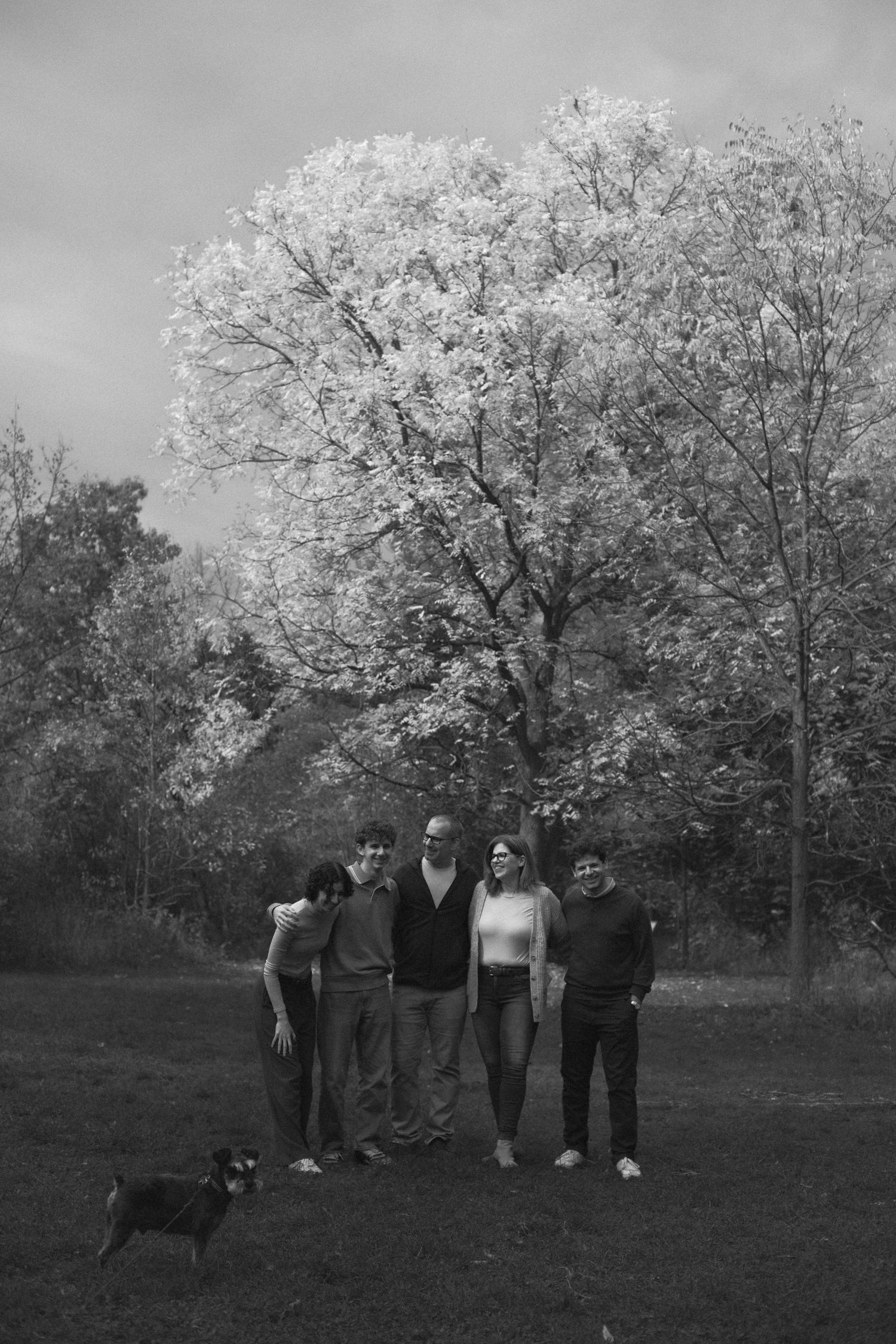 Family photography in Toronto, natural landscape of forest