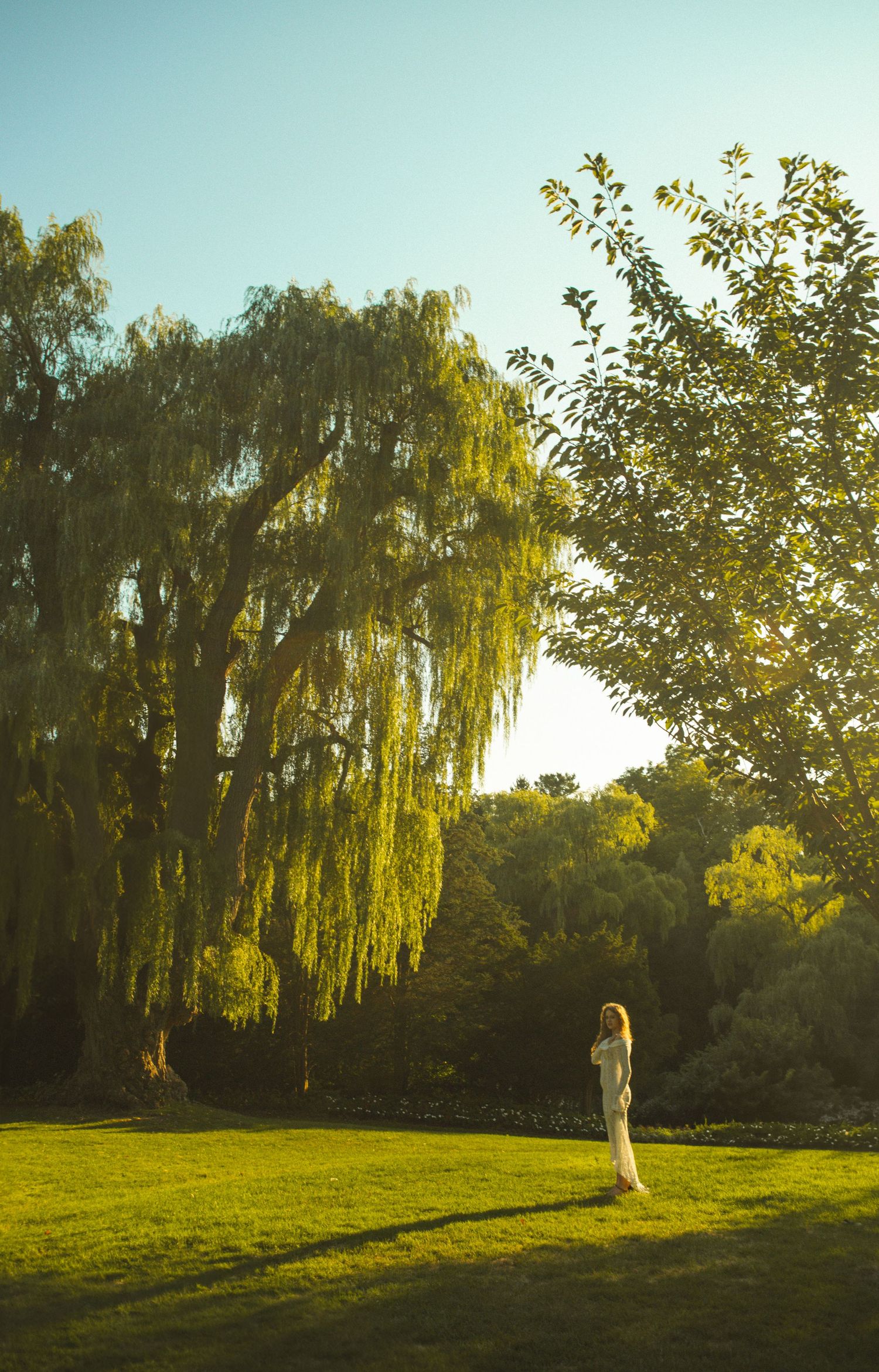 Cinematic documentary-style portrait photography taken in Toronto nature, candid in garden