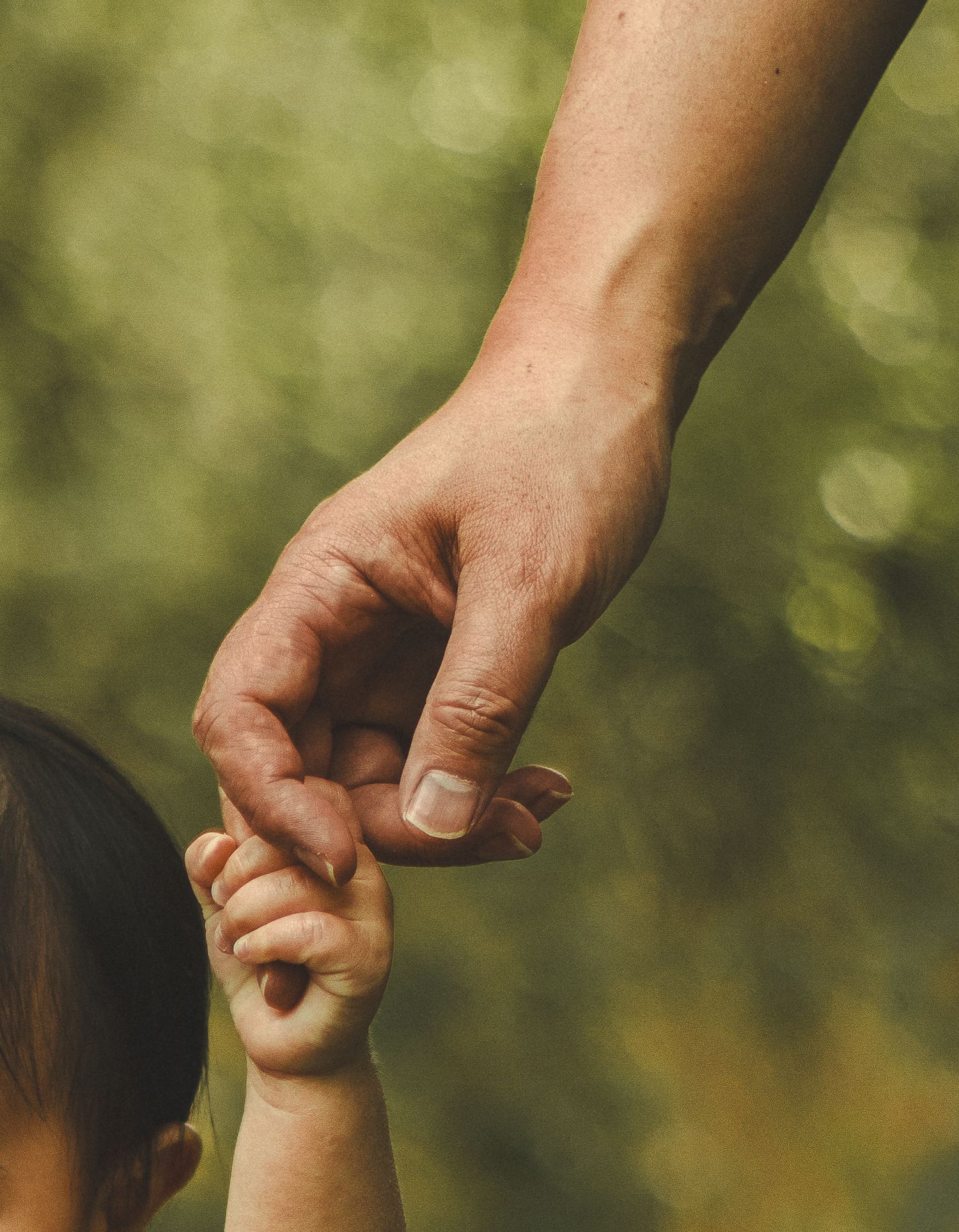 Family photography in Toronto of parents and their daughter, natural landscape of forest