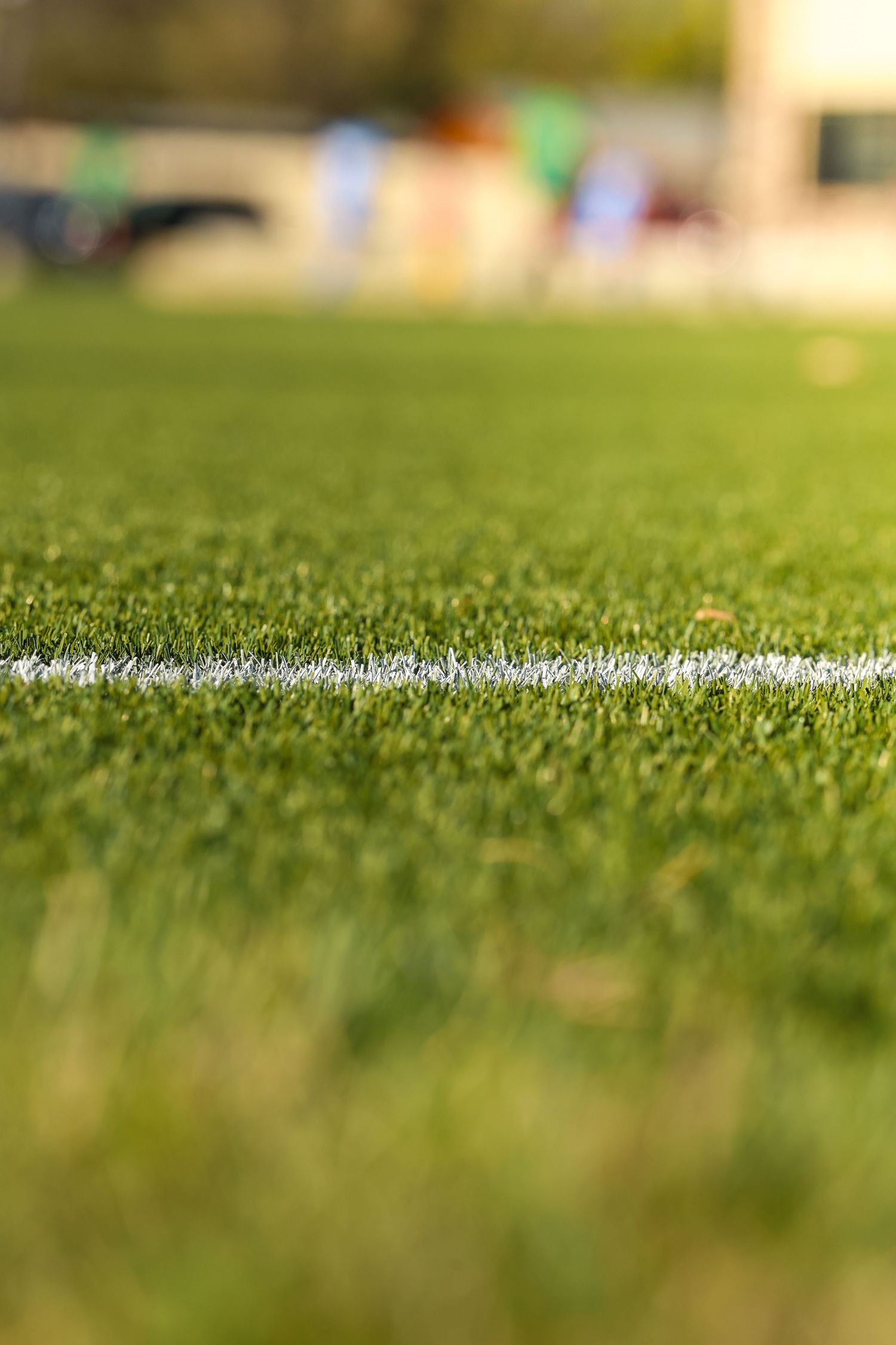 CCU Cougars Soccer Sideline Stripe in Soft Focus