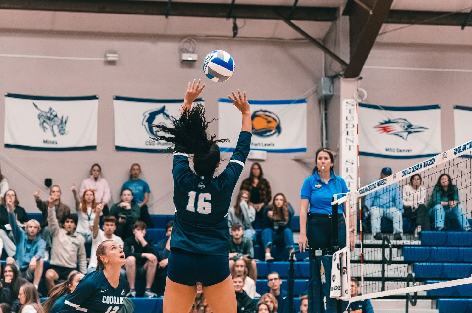 Colorado Christian University women's volleyball player #16 setting the ball during a match