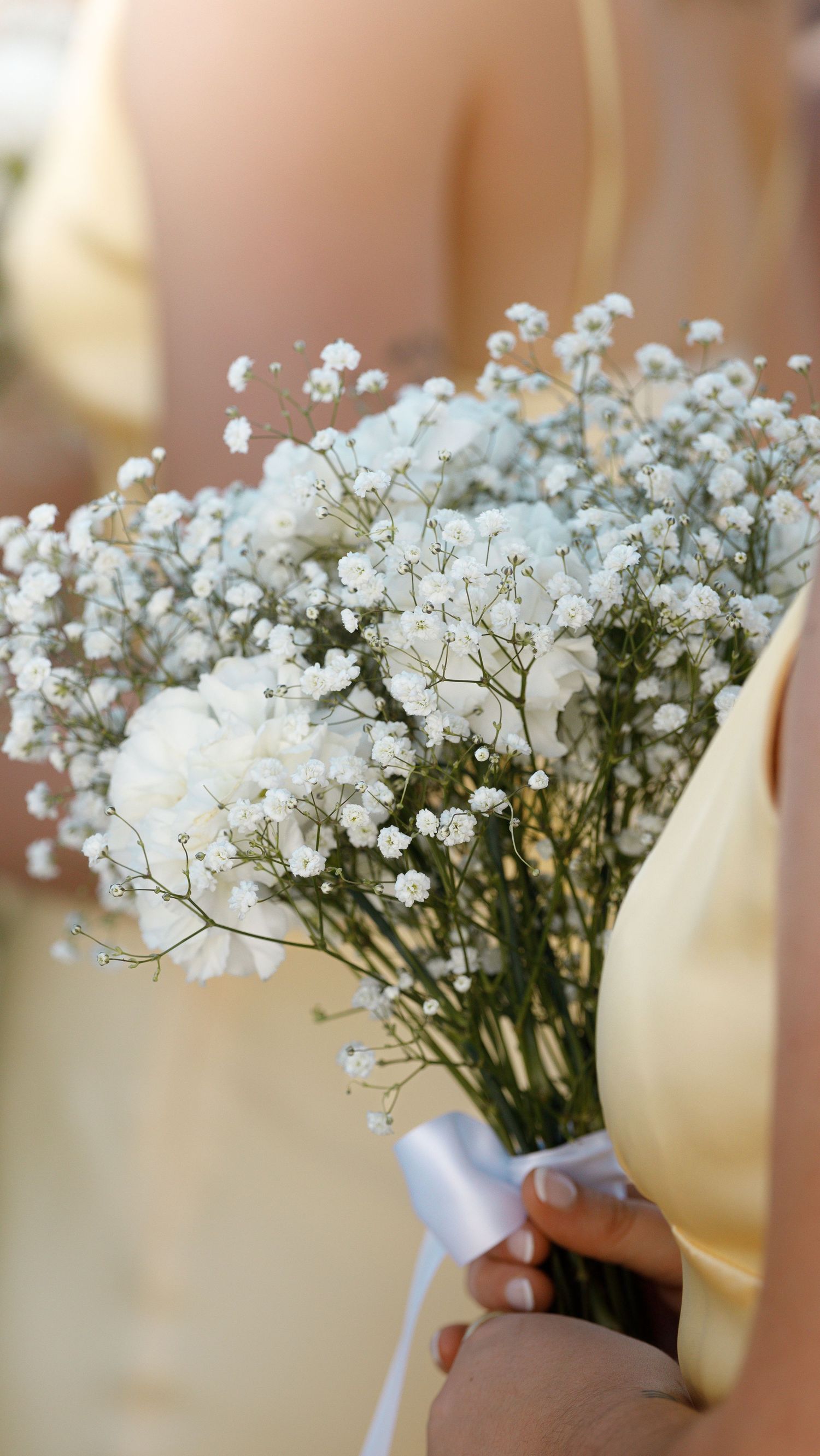 Morgan and Landon's Wedding